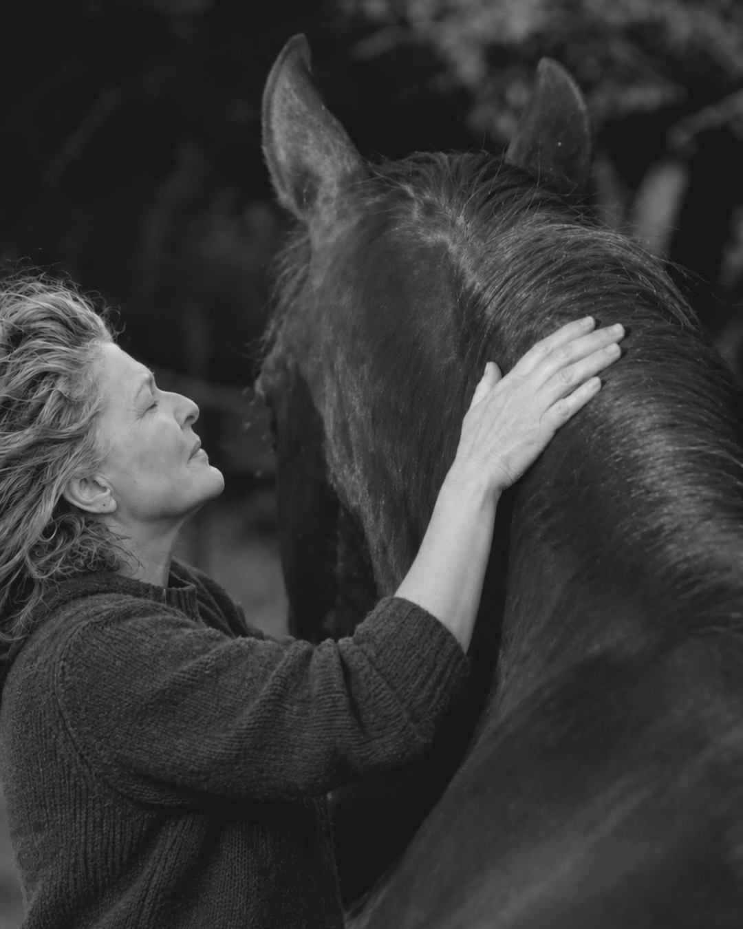 Equine Reiki