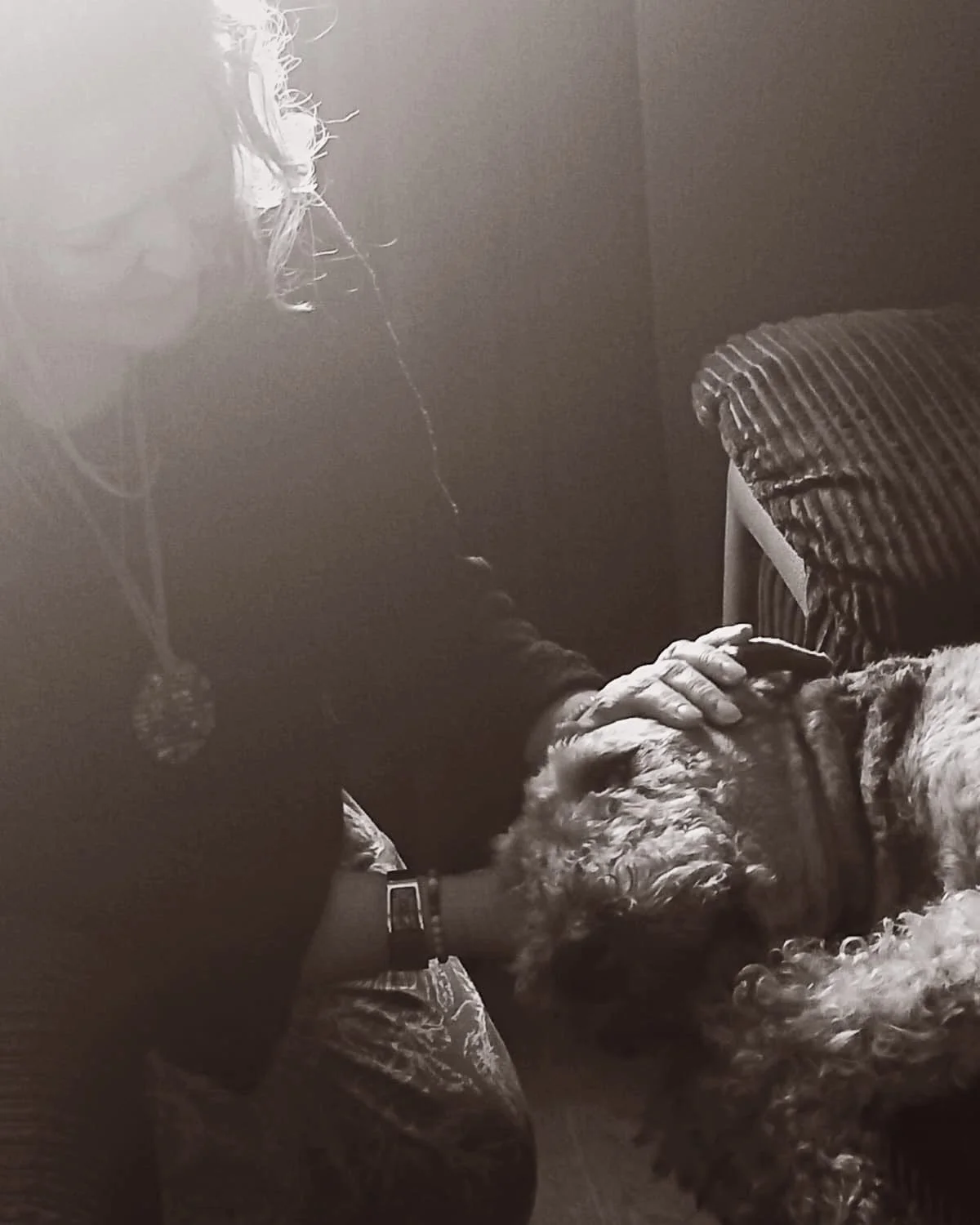 Animal Reiki