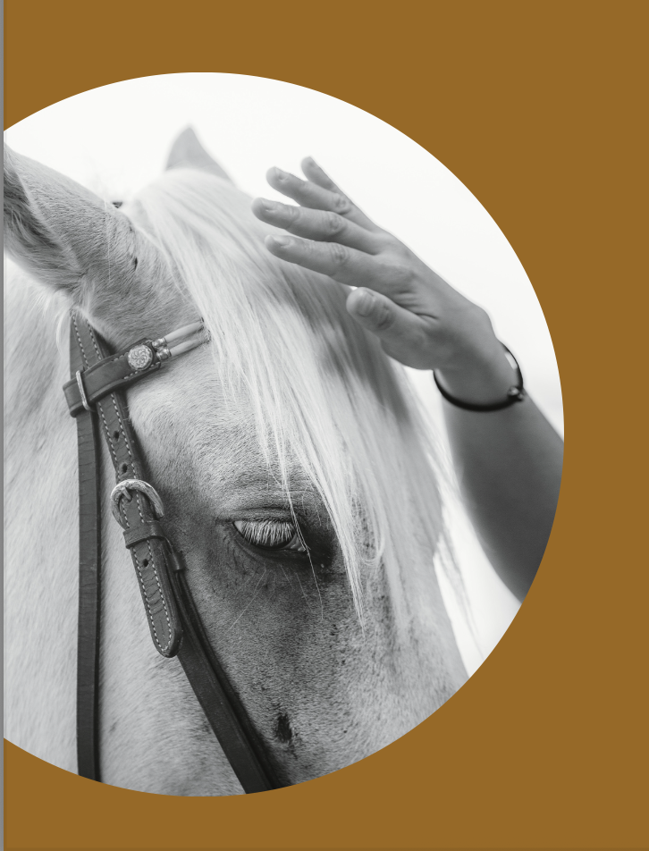 Equine Reiki