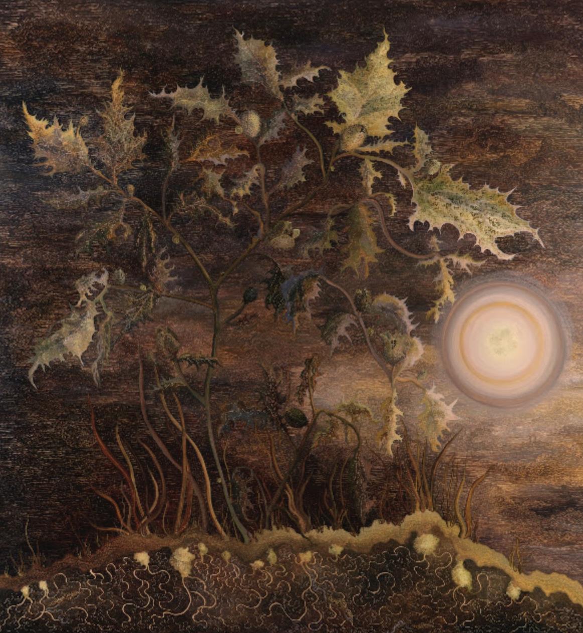 Georg Wilson: Dark Wonders