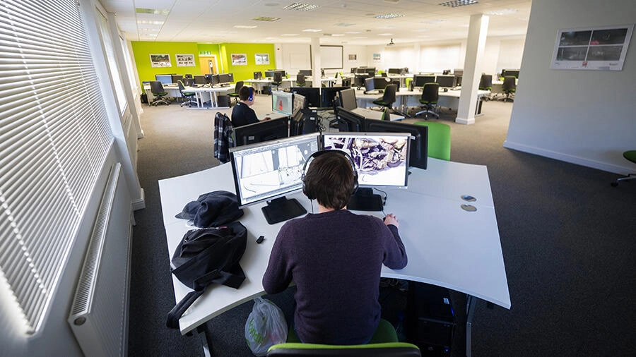 Person working at a desk with three computer monitors in an open office space with multiple workstations, some chairs, and a green accent wall in the background.