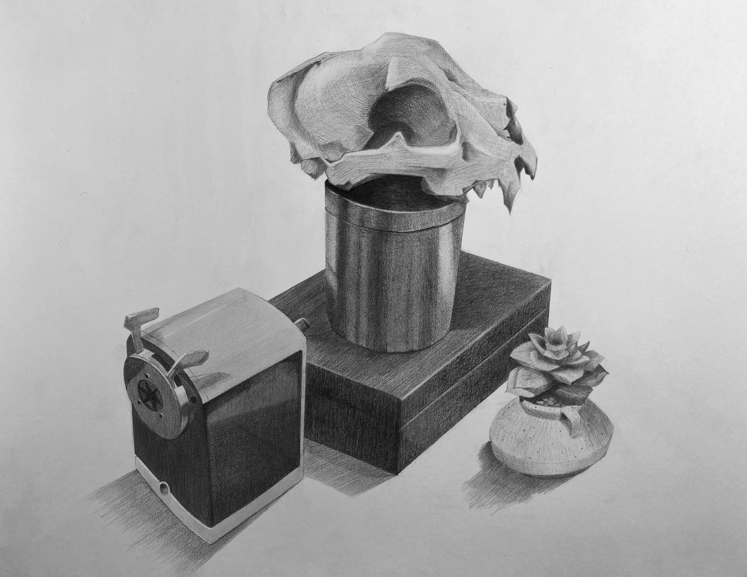 A detailed pencil sketch of a skull resting on a cylindrical coaster, placed on a flat surface with additional objects, including a wagon and a potted succulent plant.
