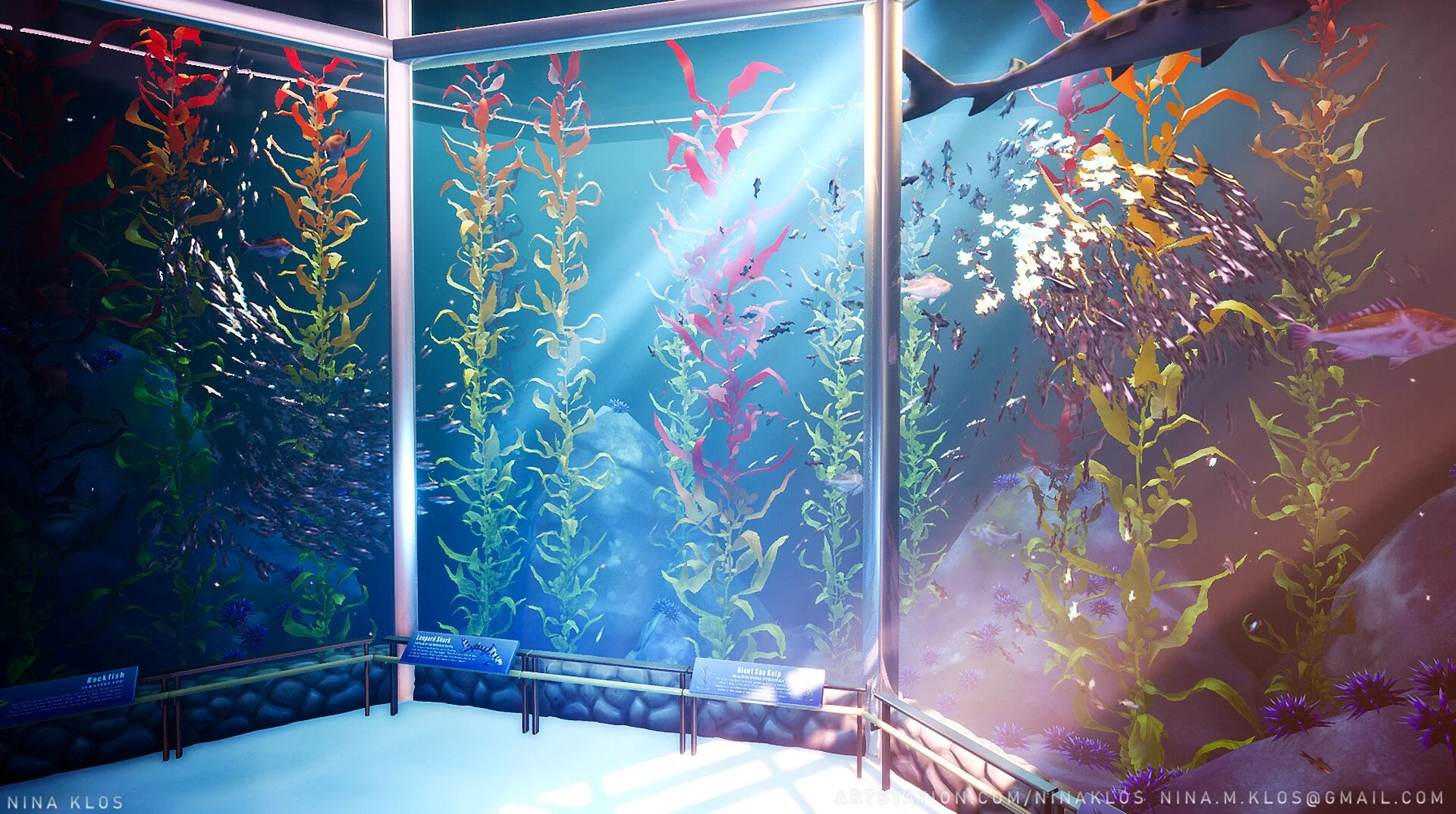 An aquarium exhibit with tall seaweed plants, various fish, and informational signs, under blue lighting.