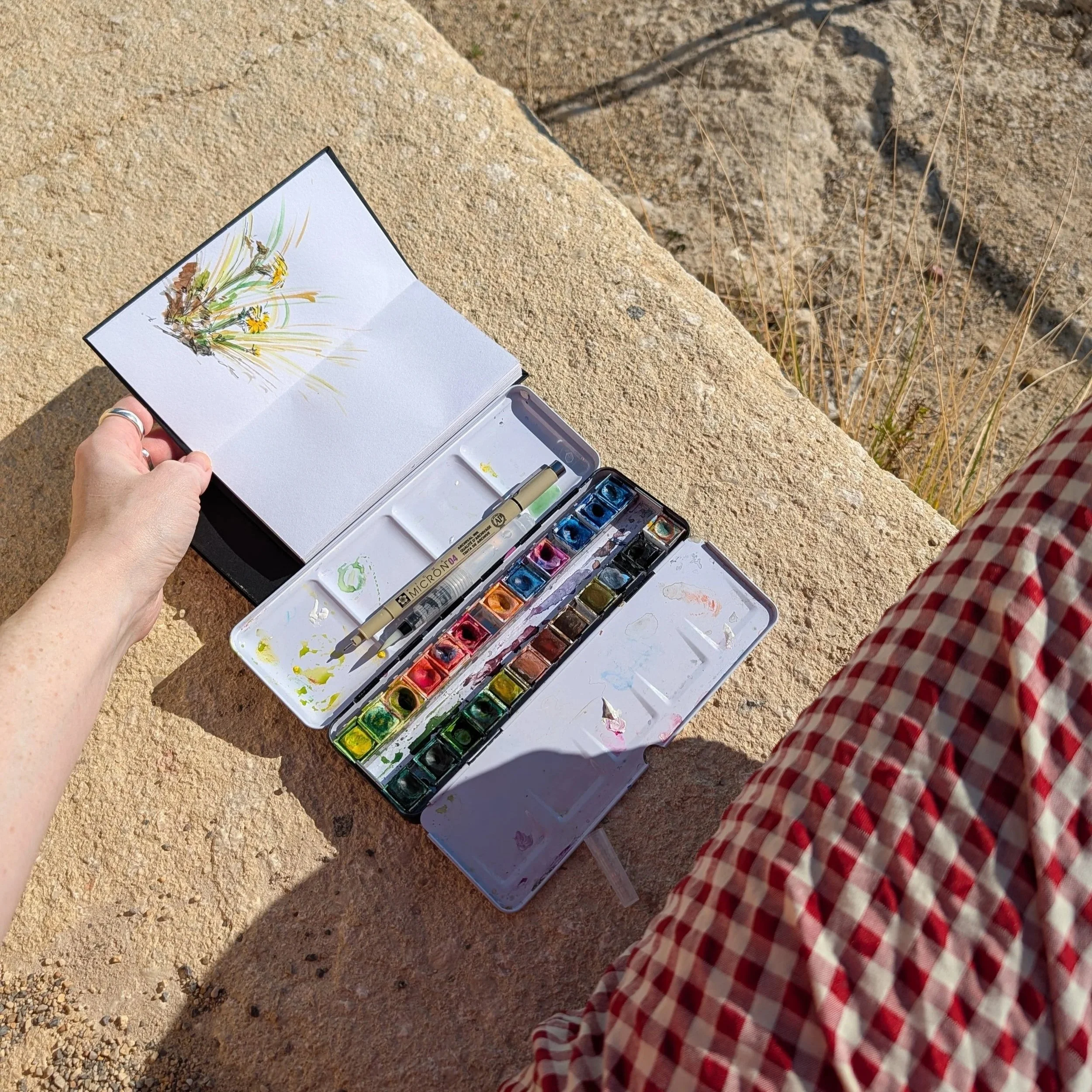 A person holding an open watercolor sketchbook with a painting of yellow flowers, while sitting on a rock in a dry, desert-like environment with sparse grass and small rocks.