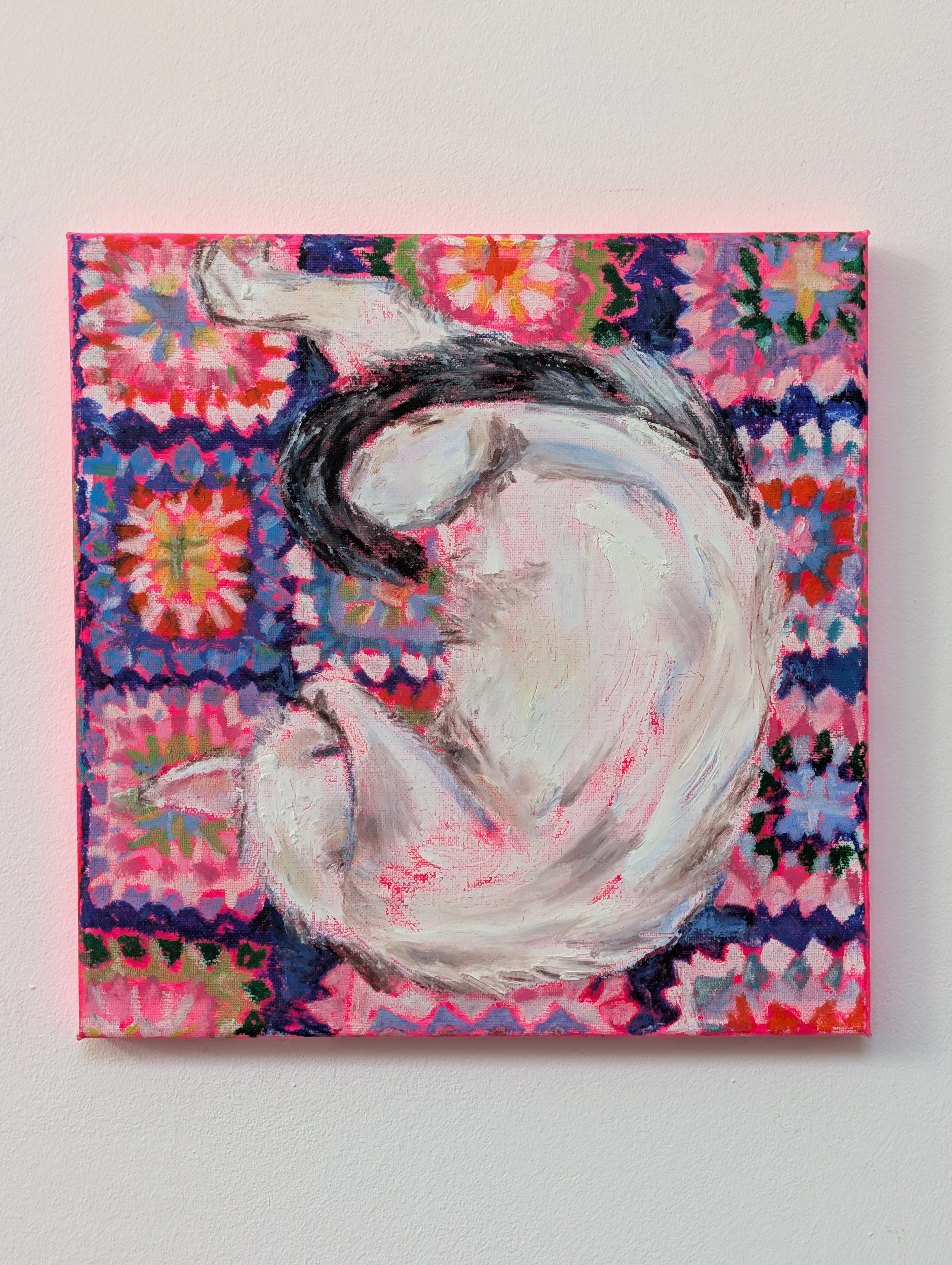 cat nap