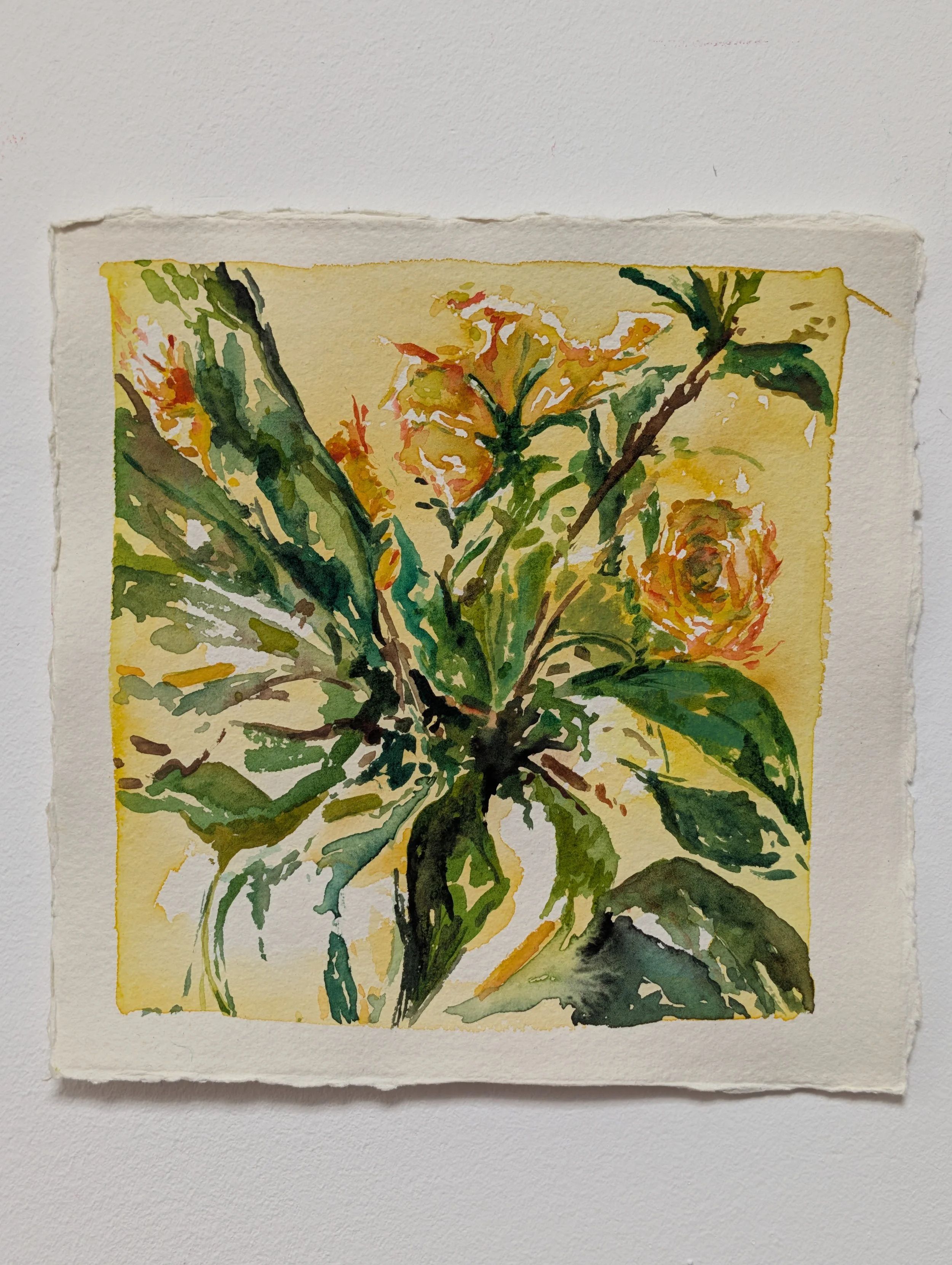 spring flowers