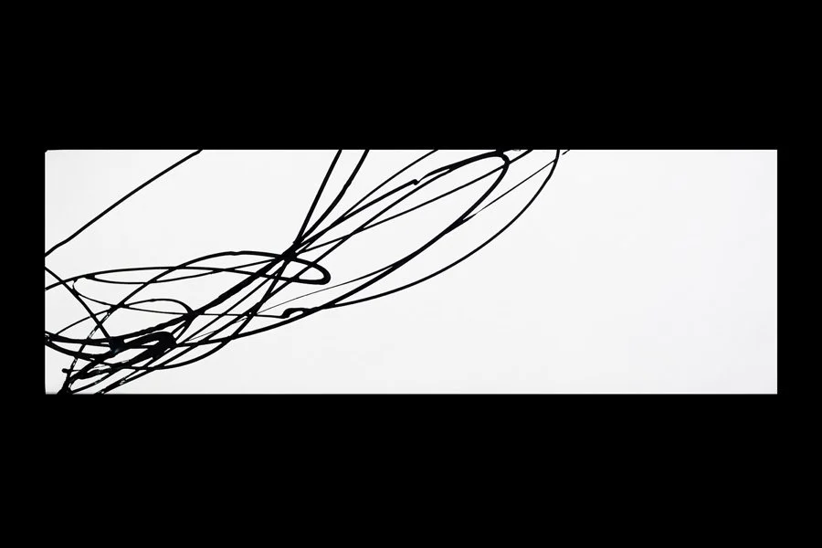 Abstract black ink splatters and lines on a white background.