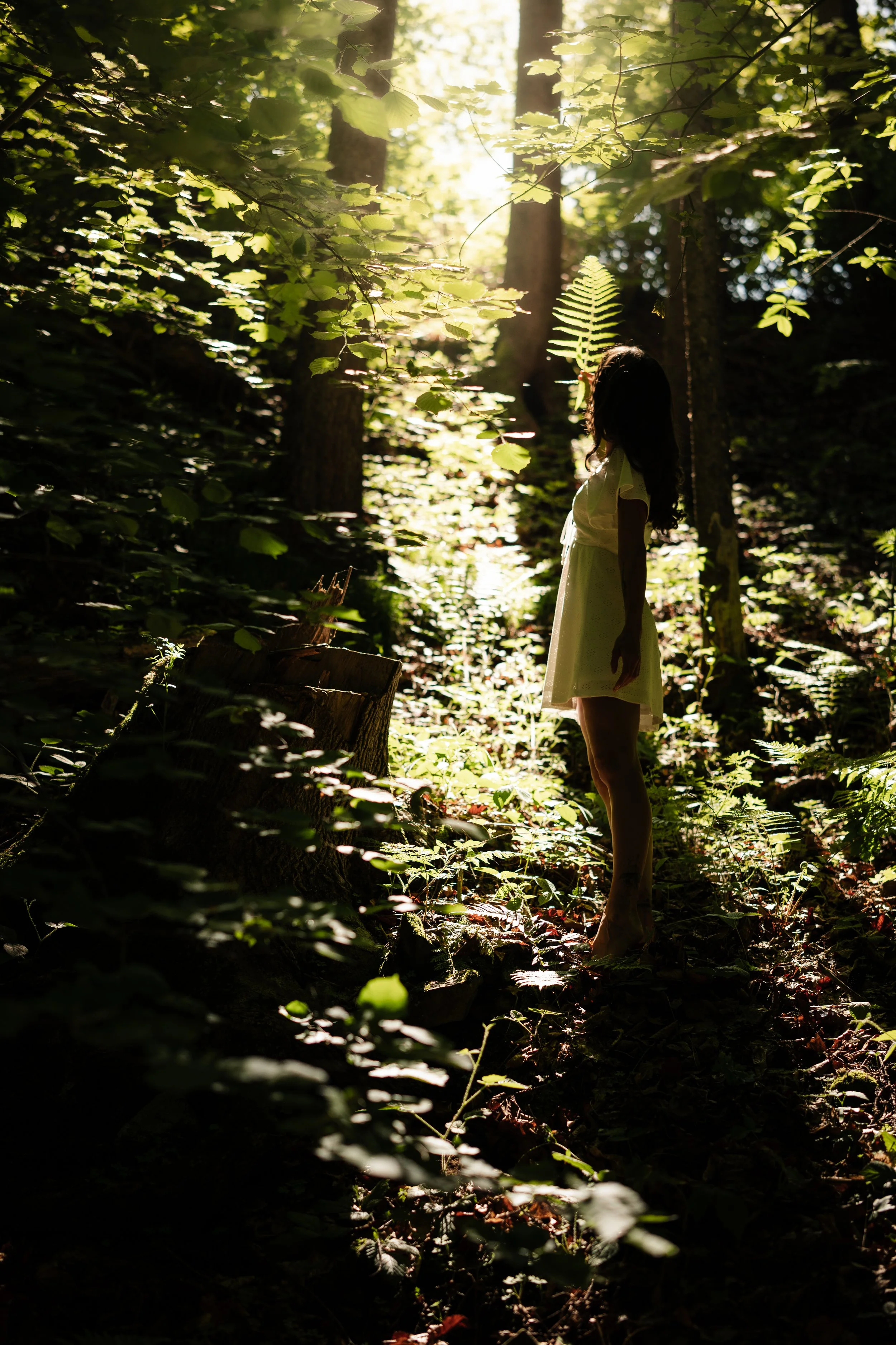 Junge Frau in einem weißen Kleid steht in einem sonnendurchfluteten Wald, umgeben von grünen Blättern und Bäumen
