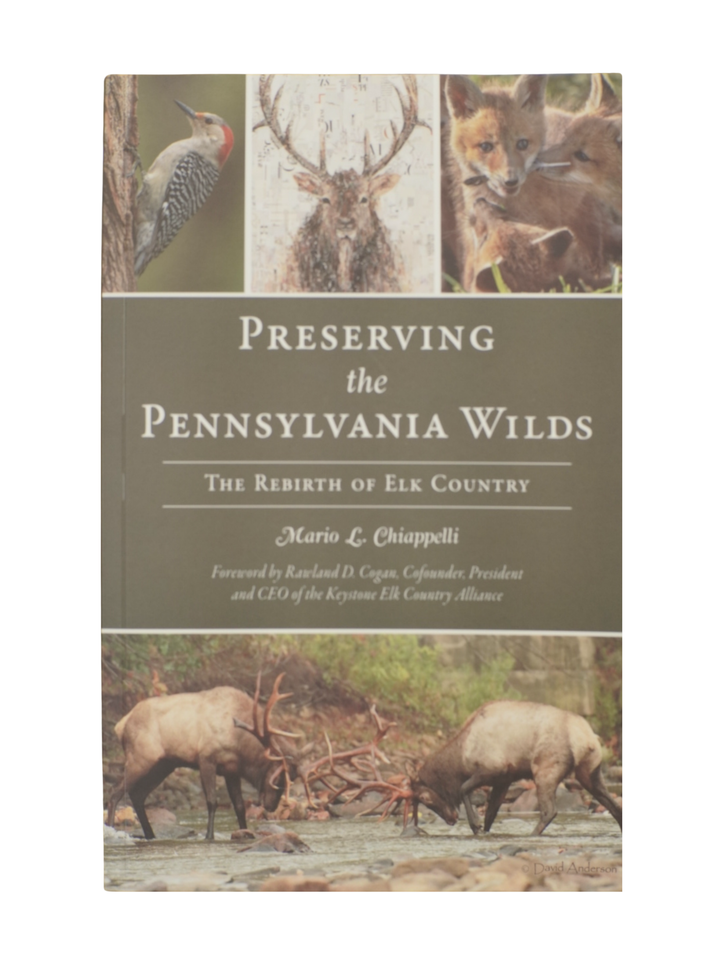 "Preserving the Pennsylvania Wilds" by Mario Chiappelli