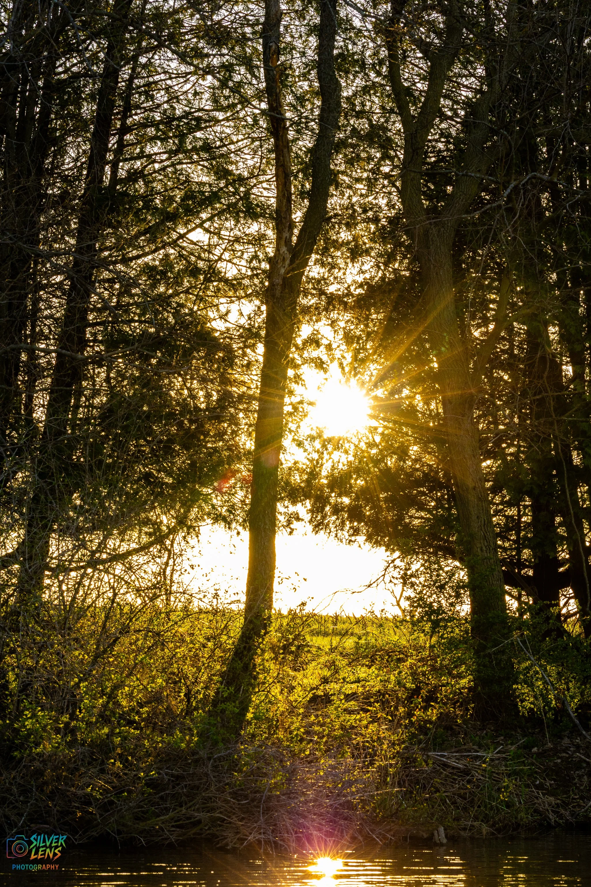 burbs_4.21-_sun (1 of 1).jpg