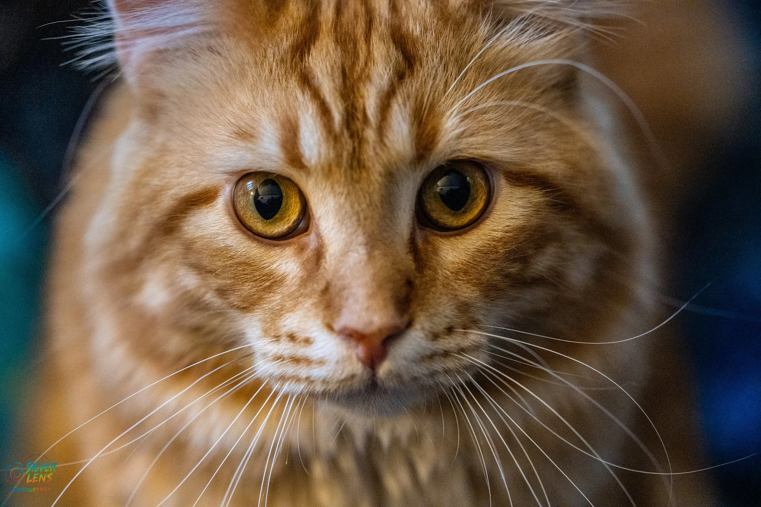 handsome_ron (1 of 1).jpg