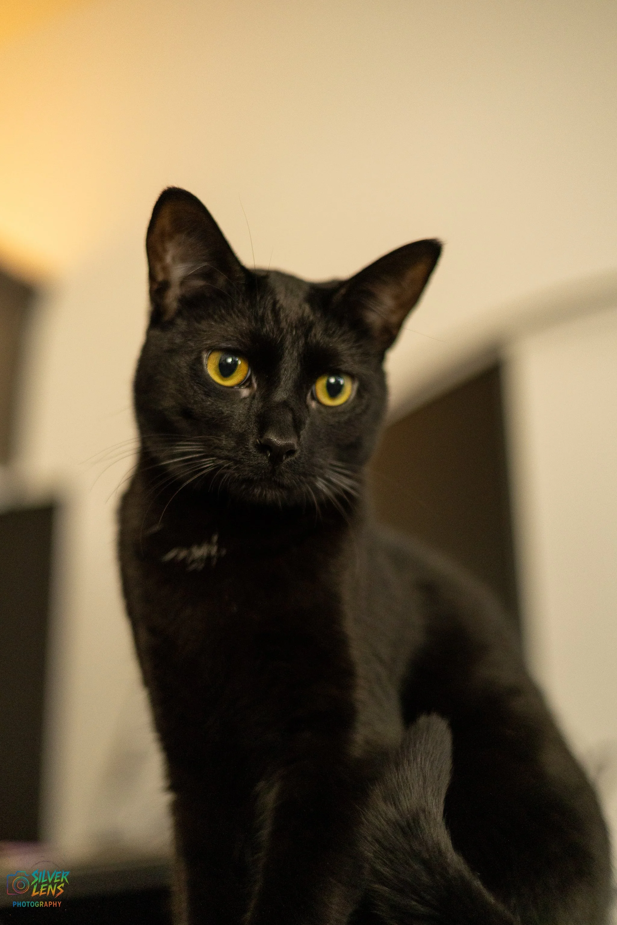 tito_4 (1 of 1).jpg