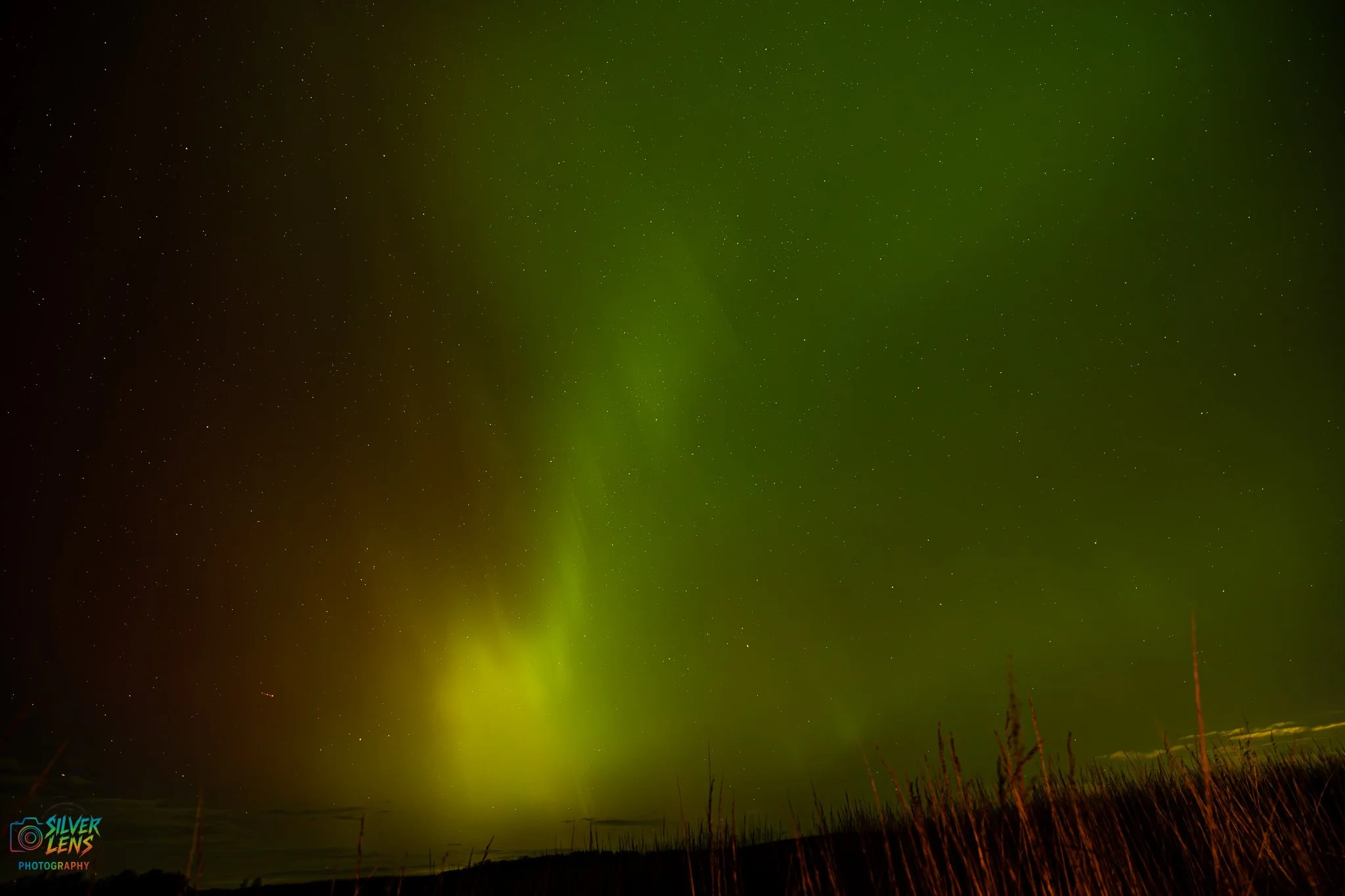 PurpGreen_1 (1 of 1).jpg