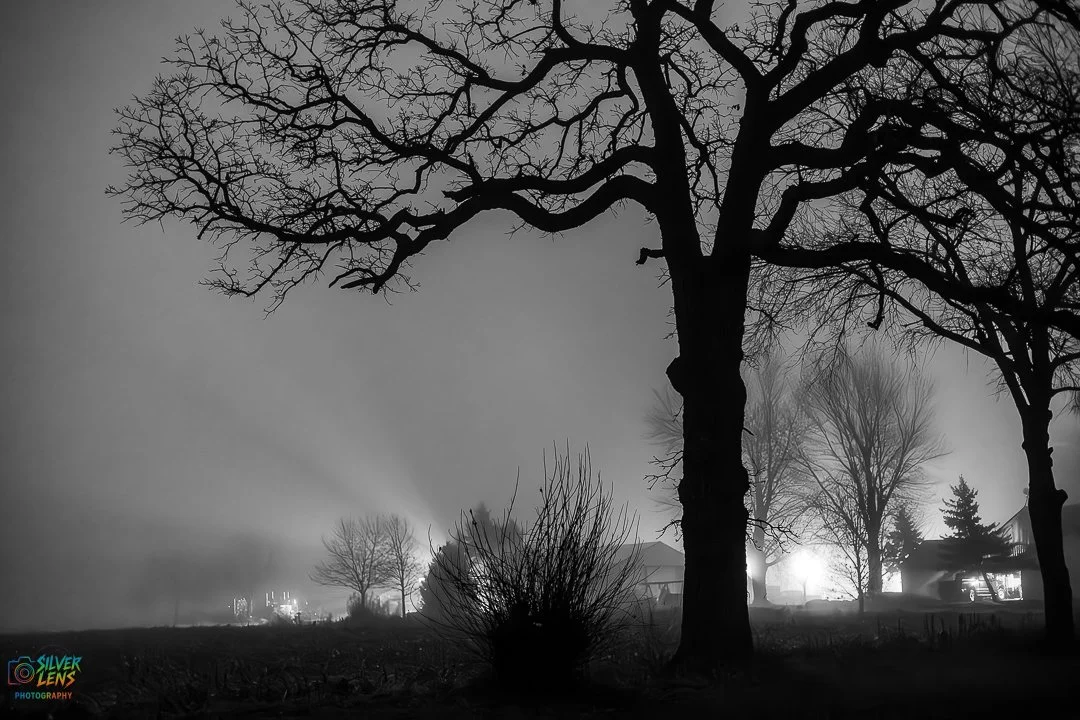 foggy morning (8 of 8).jpg