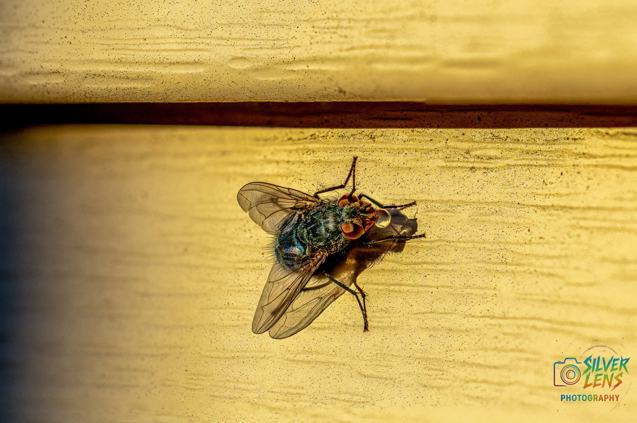 flystack (1 of 1).jpg