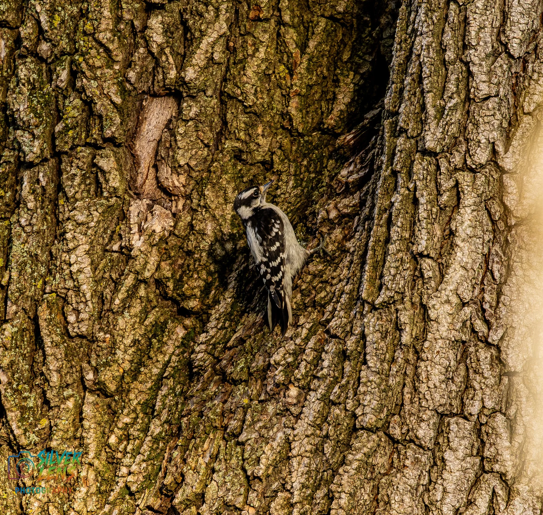 nature_stuffs-pt2 (1 of 13).jpg