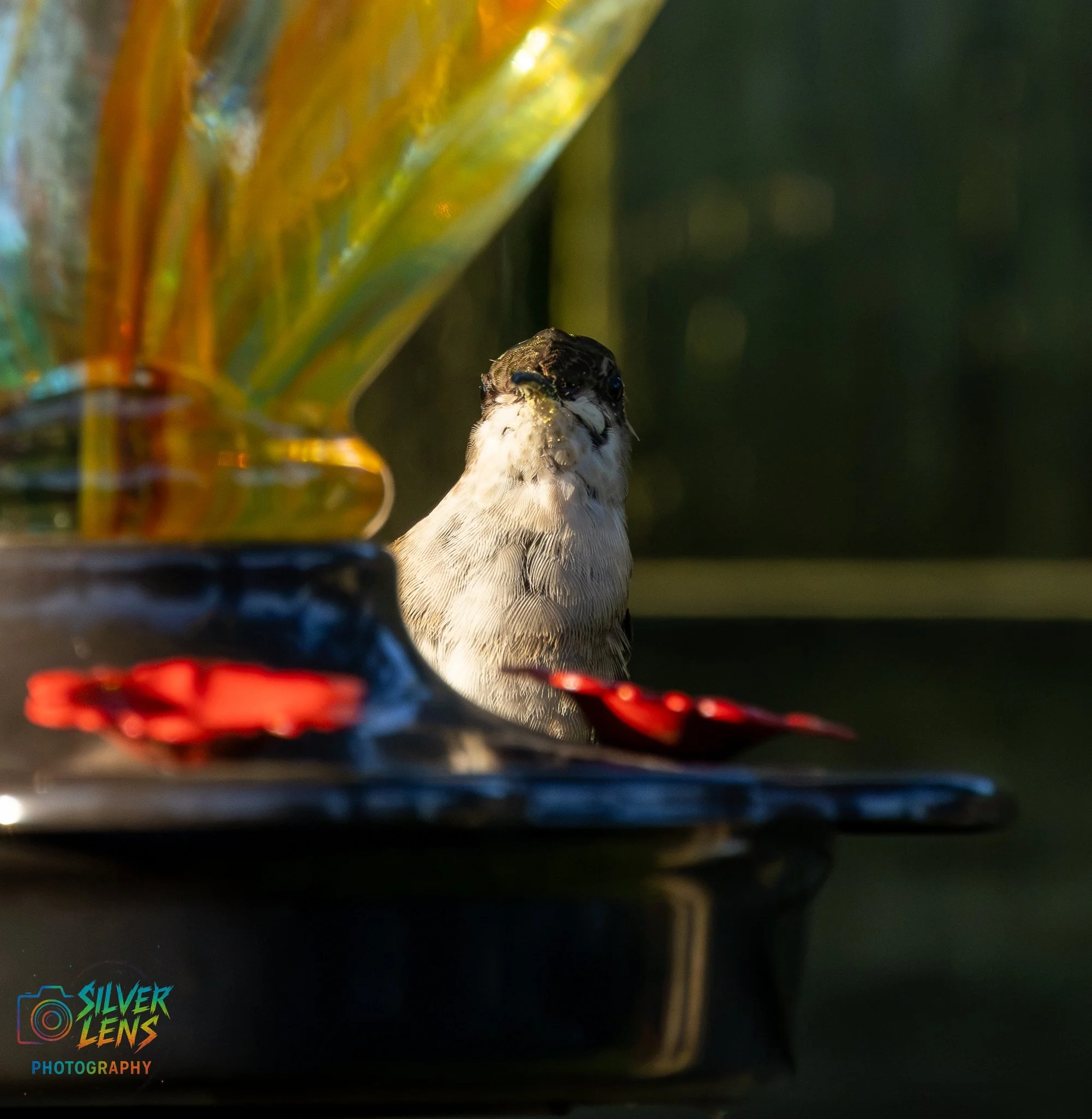 nature_stuffs-pt7 (8 of 17).jpg