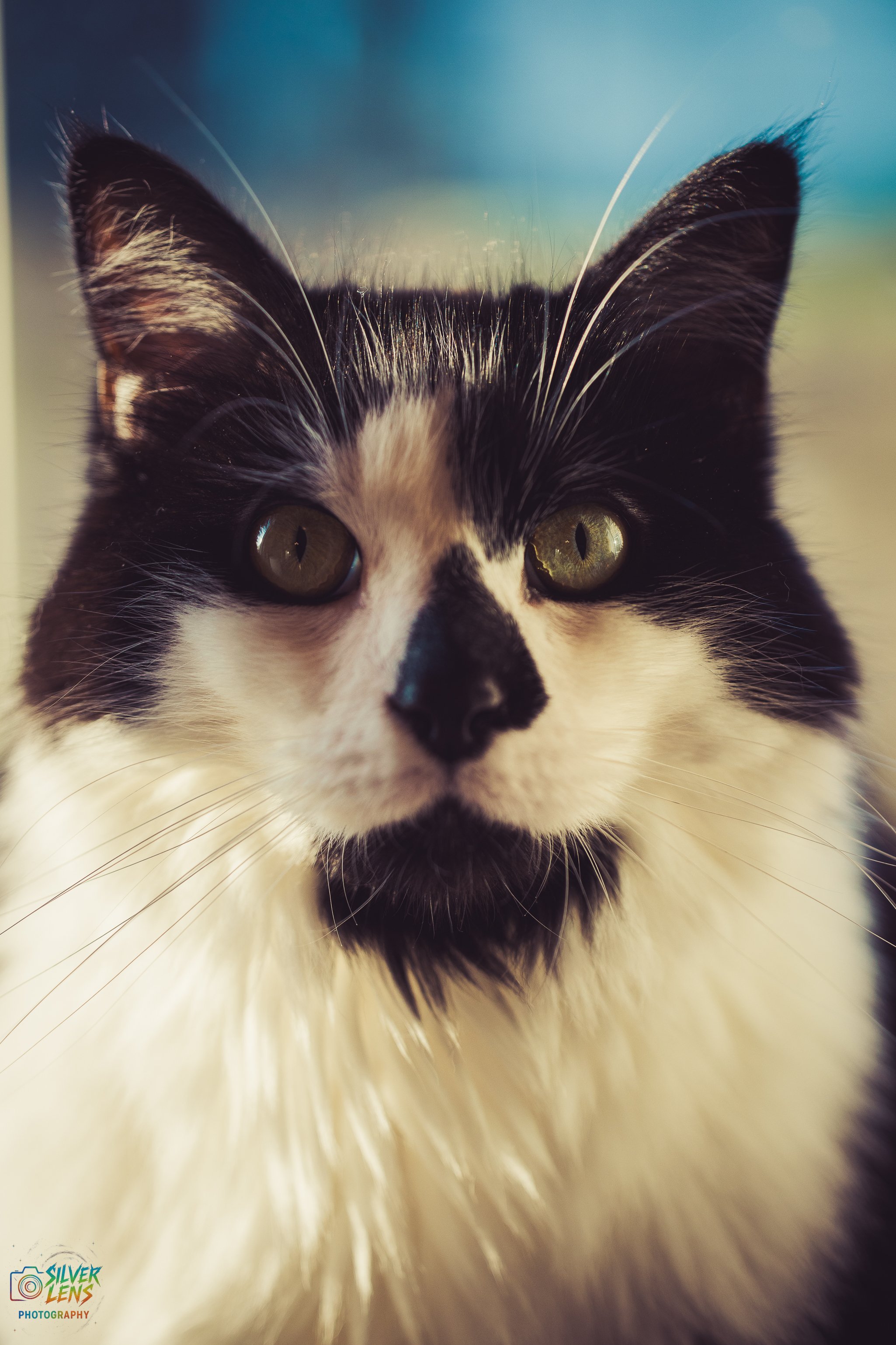 dexter4.18.26_2 (1 of 1).jpg