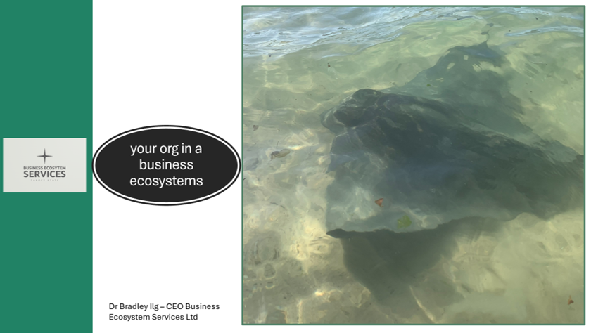 Org Model in Business Ecosystem Context.png