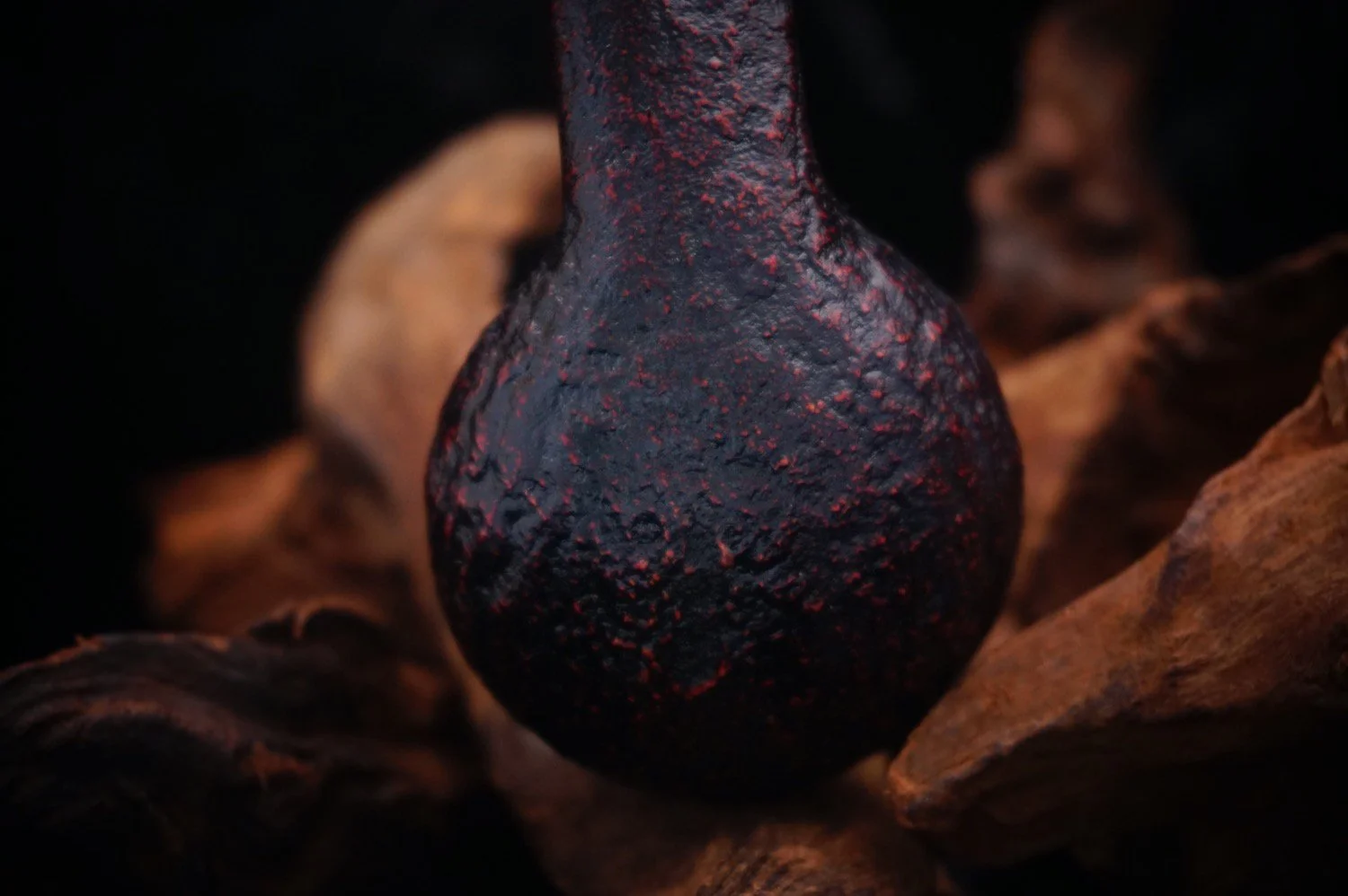 DSC05092.JPG