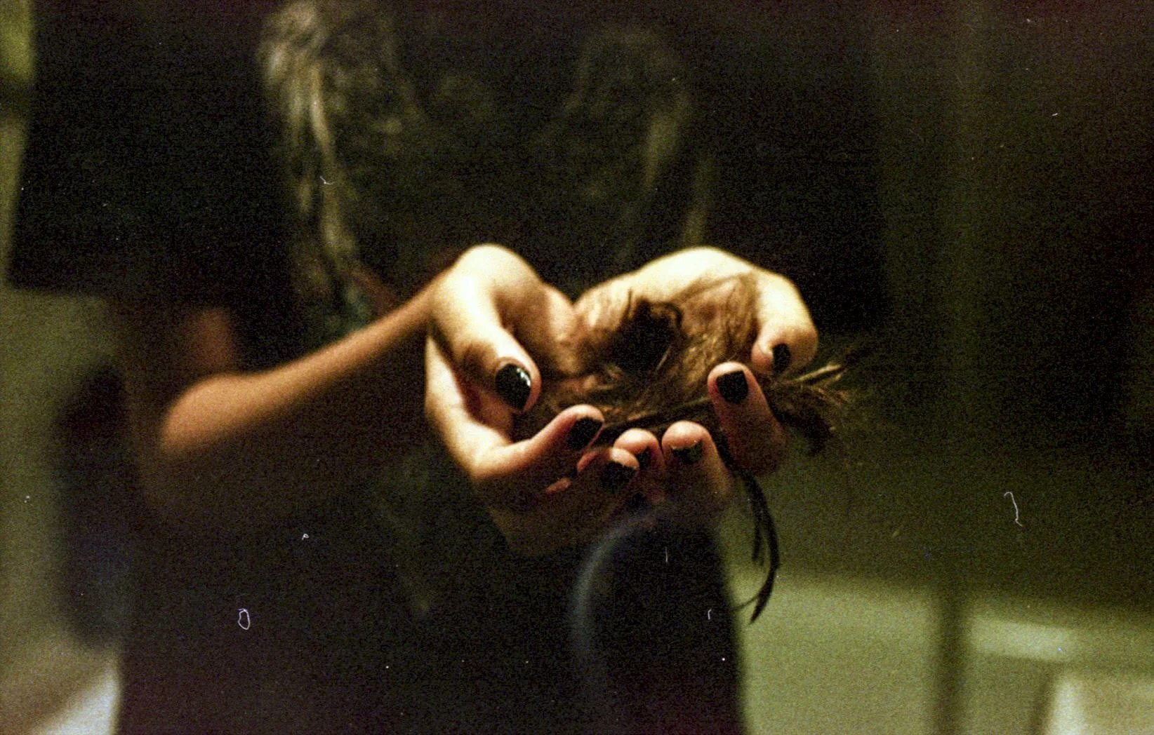 spacelab000002 (1).jpg
