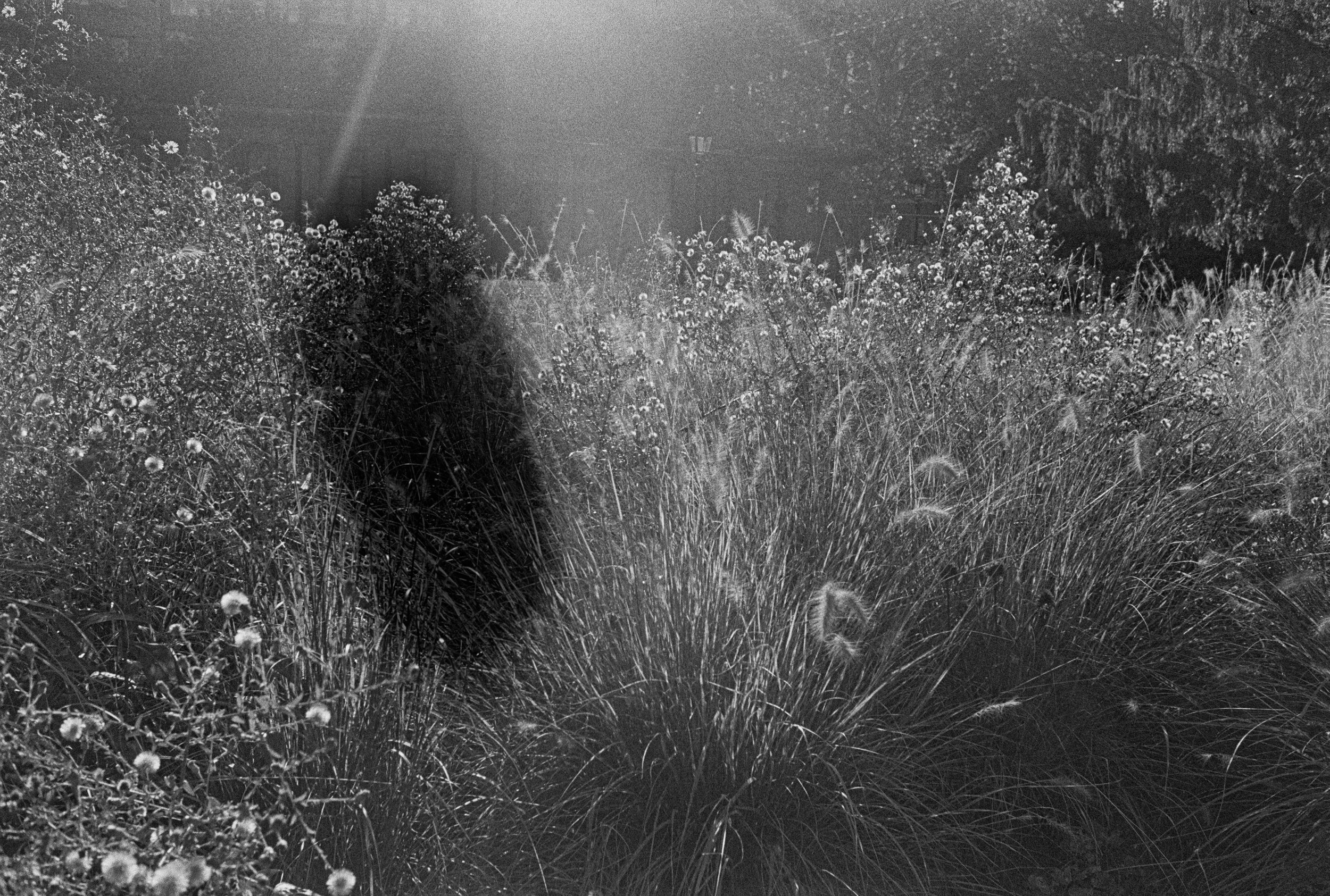PAULACOLOR-8.JPG