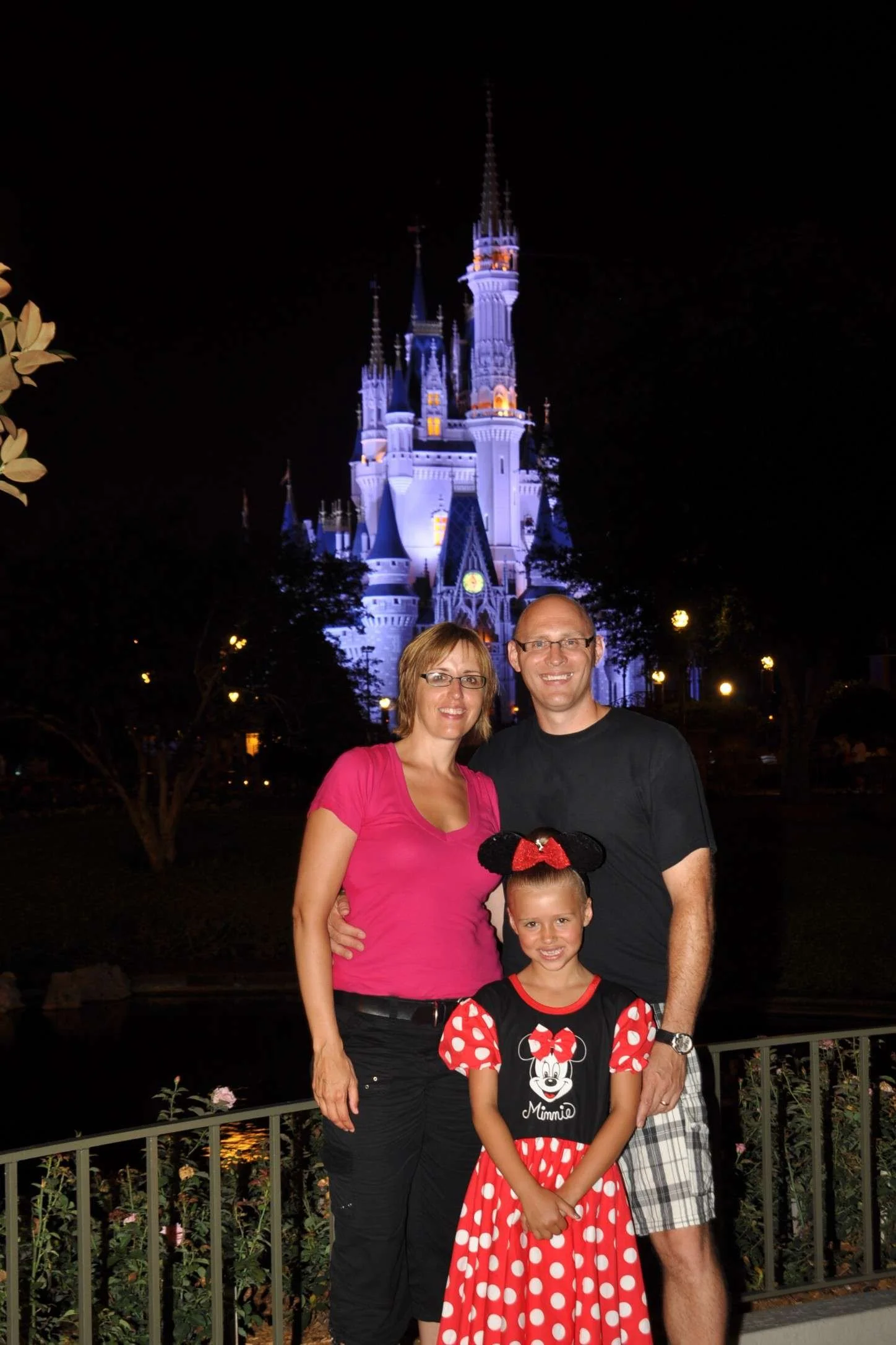 My Disney Life - How It Started 