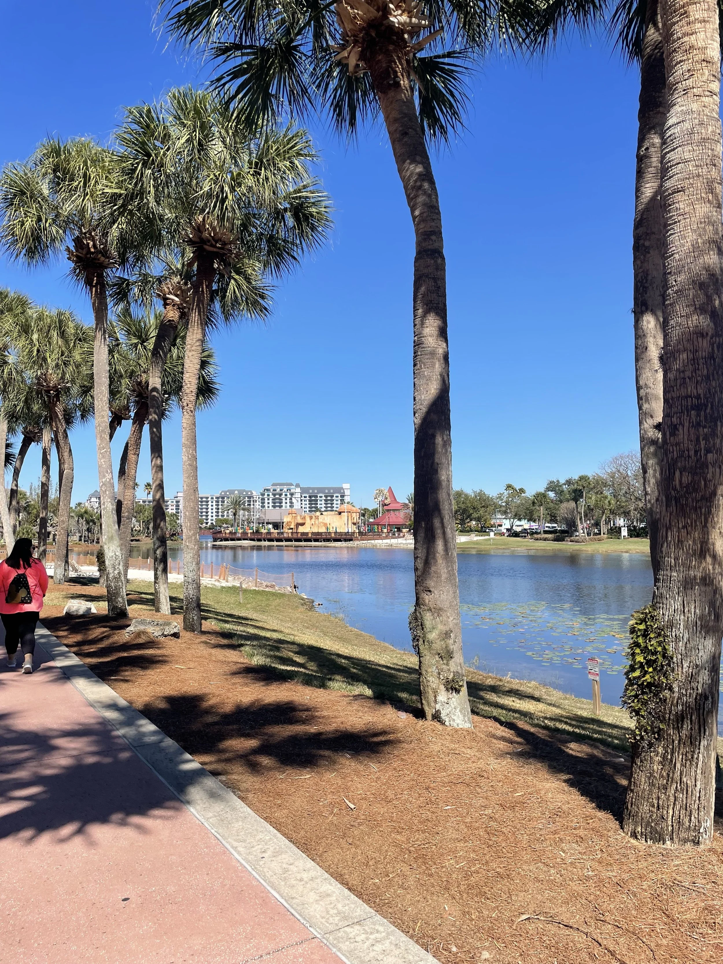 Walking path at Disney's Caribbean Beach Resort with Disney's Riviera in the distance