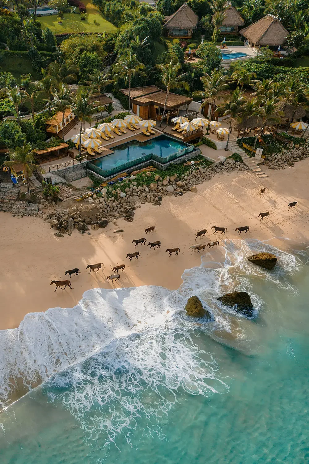 horses-running-at-nihi-sumba-beach.jpg.webp
