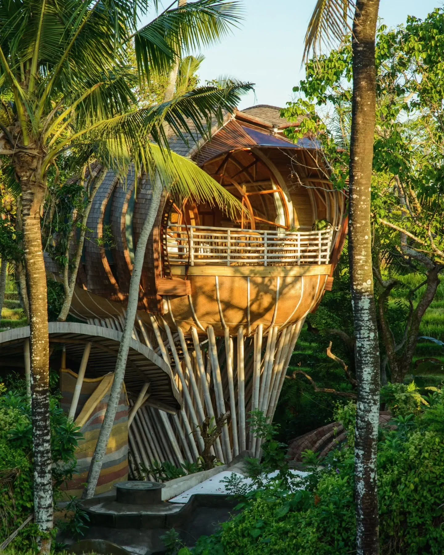 treehouse.jpg (Copy)