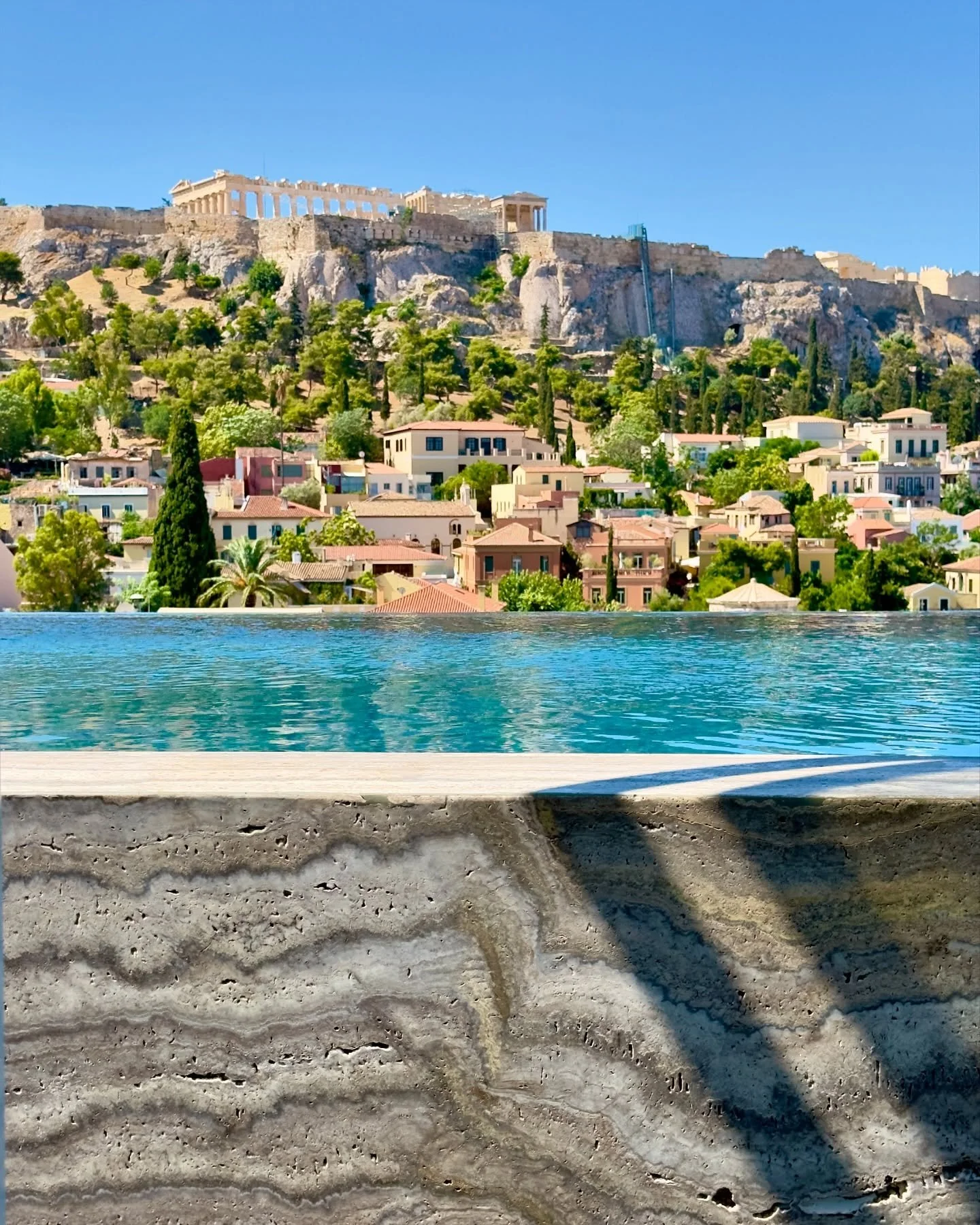 tdh.jpg
