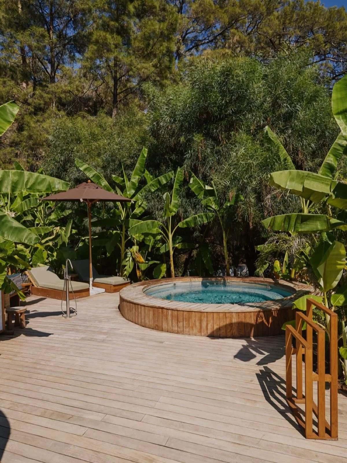Cold-Plunge-V-Ahama-Living.jpg