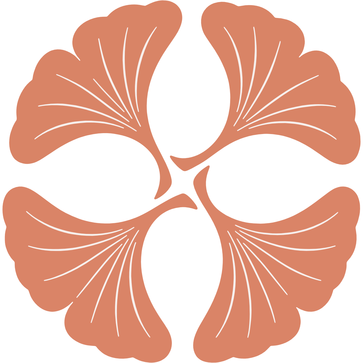 SOMA Lymphatics and Massage Therapy