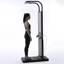Posture and Alignment Scan