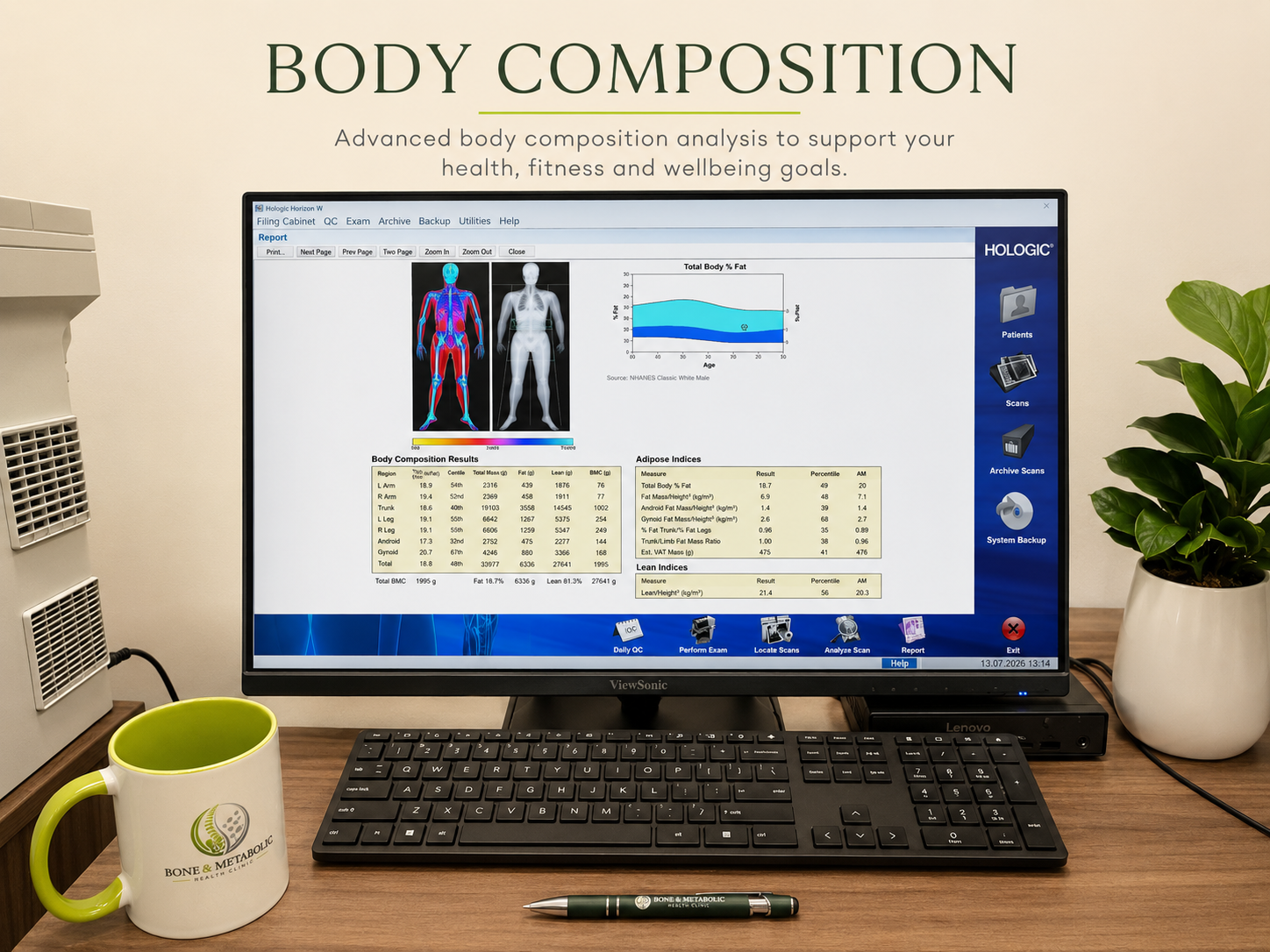 DEXA Body Composition Scans