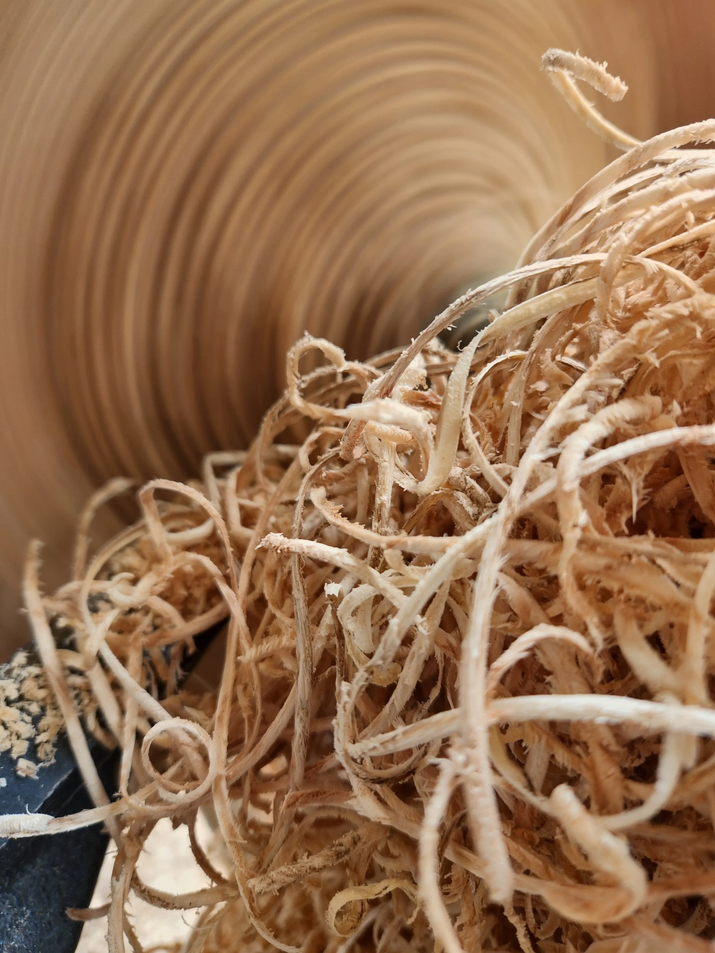 Close-up of a pile of light-colored curly wood shavings or curls inside a circular wooden container.