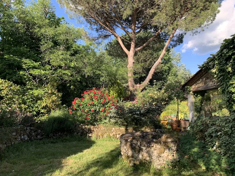 Le jardin autour de la piscine