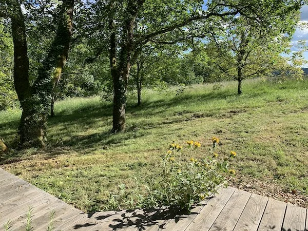 La terrasse de la cabane
