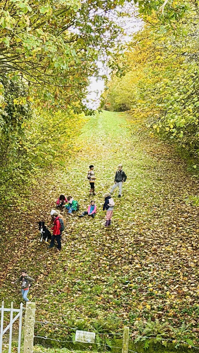 Groupe d'enfants et un chien dans un parc forestier pendant l'automne, entouré d'arbres aux feuilles jaune et verte, avec une barrière en bois au premier plan.