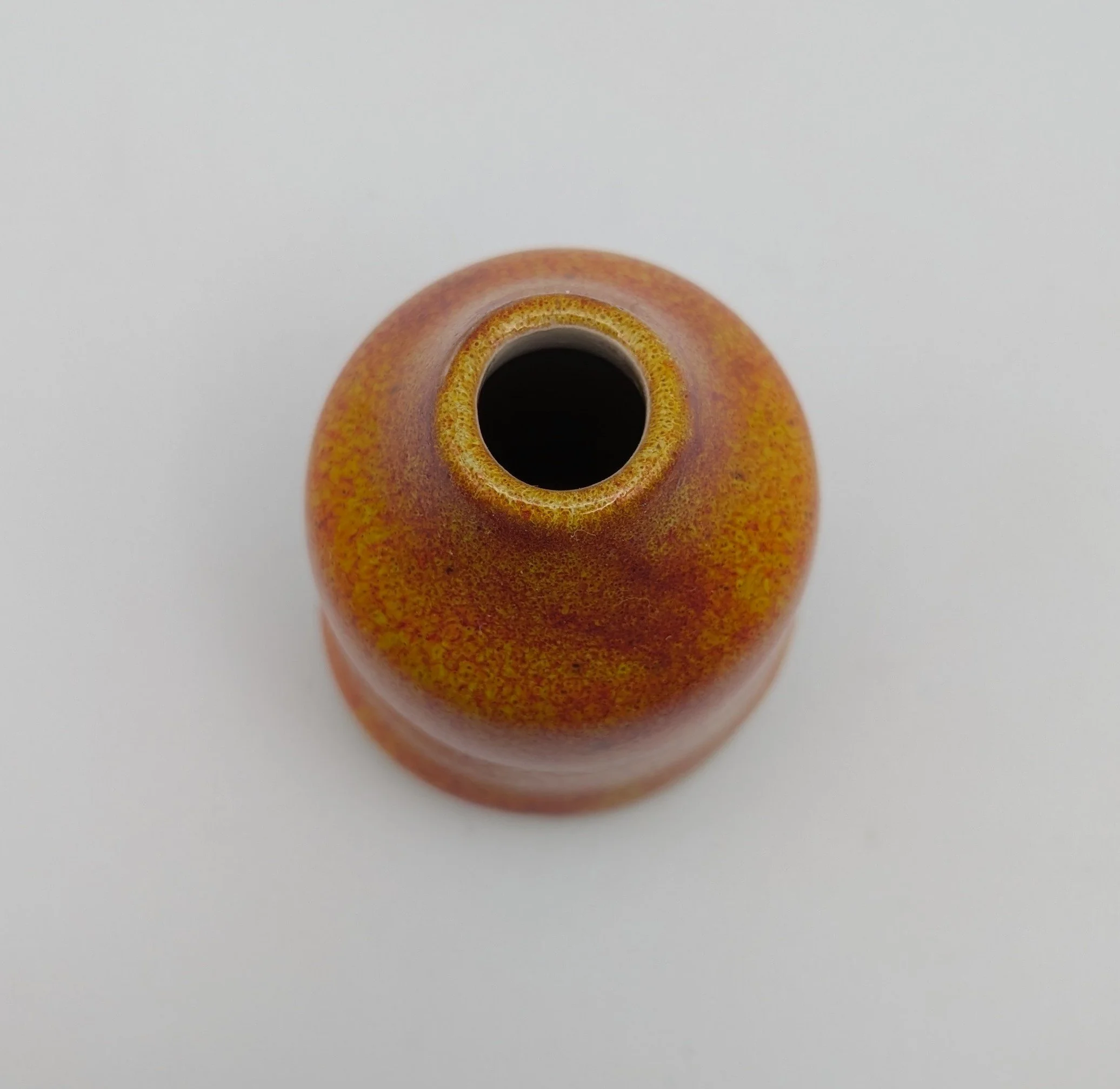 PXL_20260819_152554915.jpg