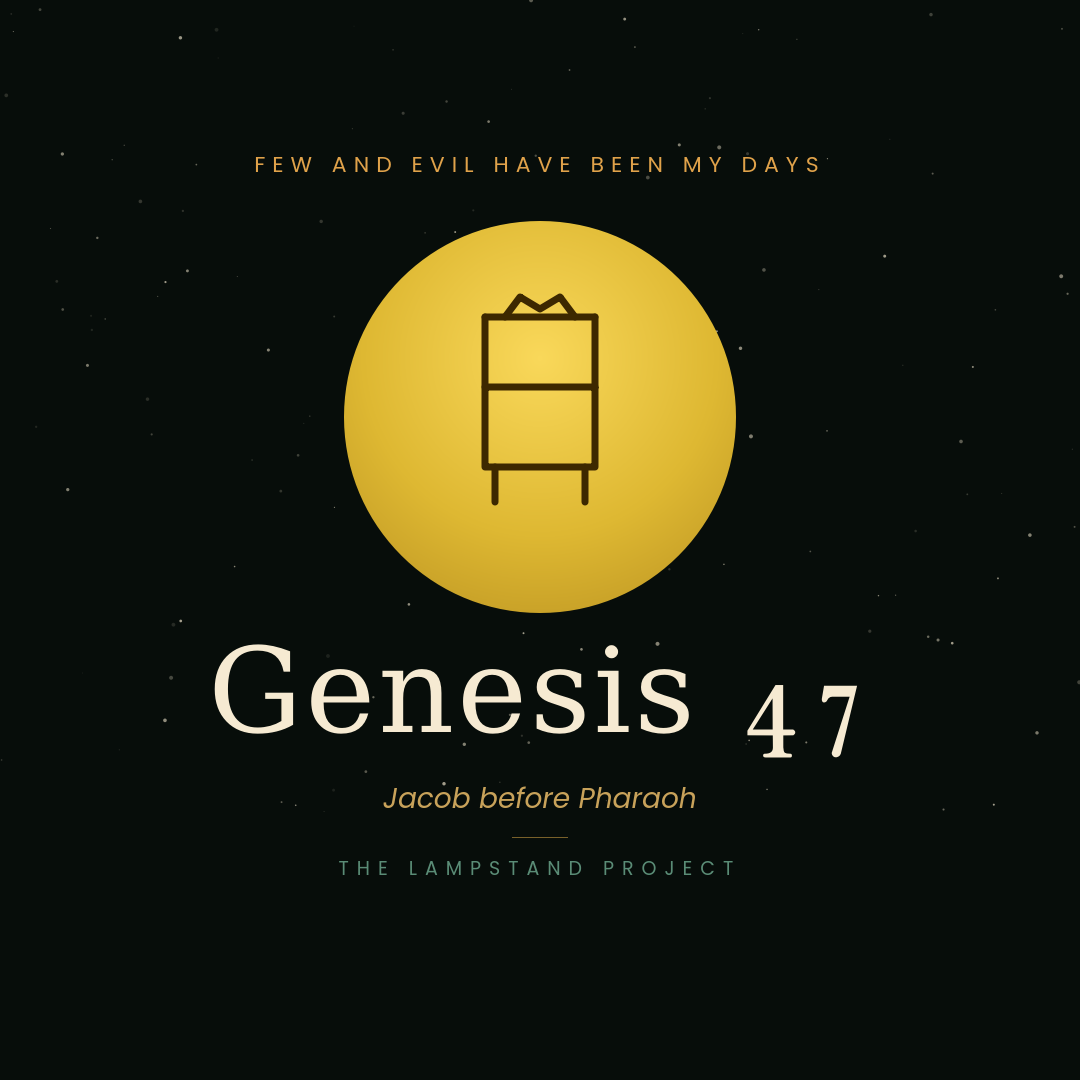 Genesis 47, a visual study from The Lampstand Project