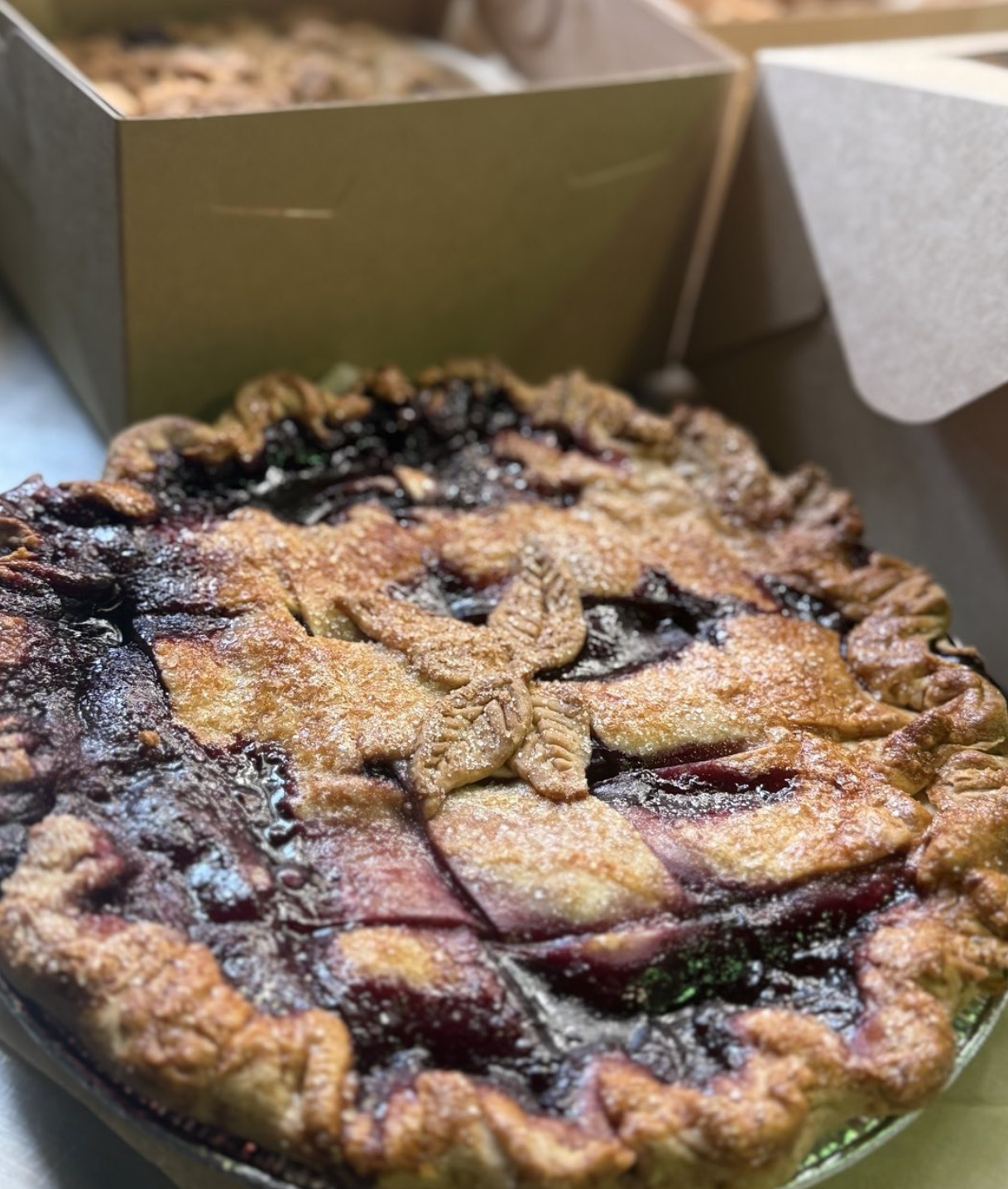 pies12.png