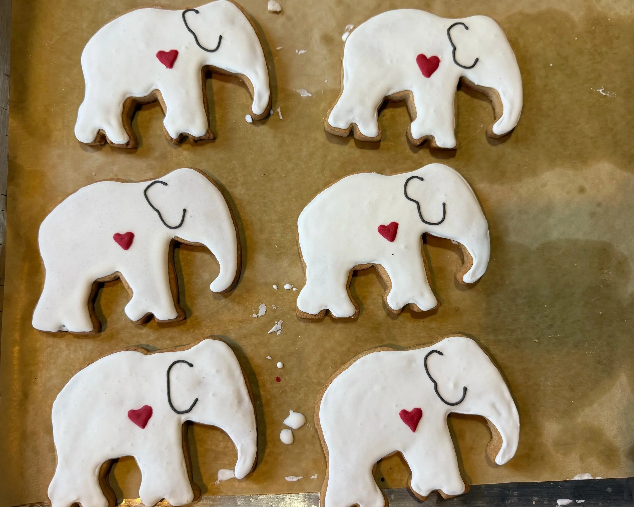 Weeping Elephant Project Cookie