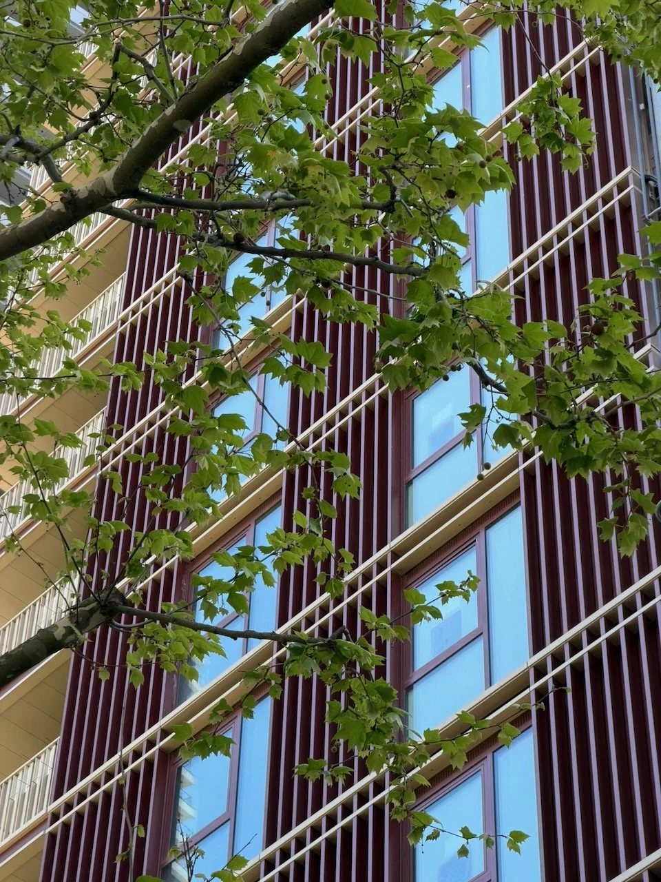 The Bellamy - Cladding