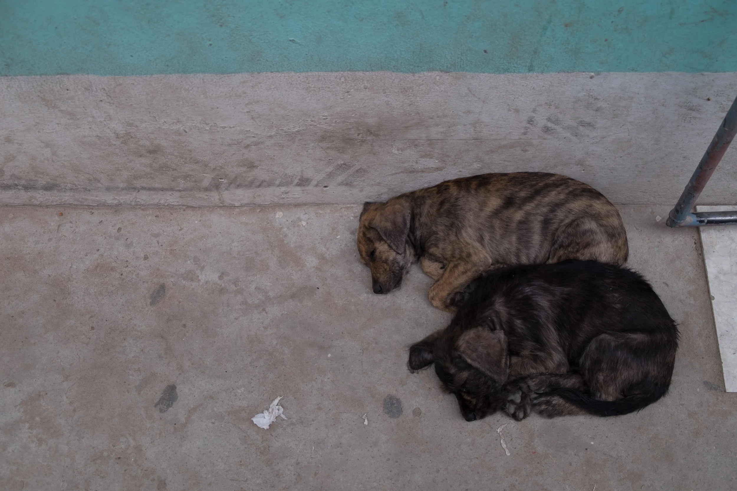 DSCF5016.jpg