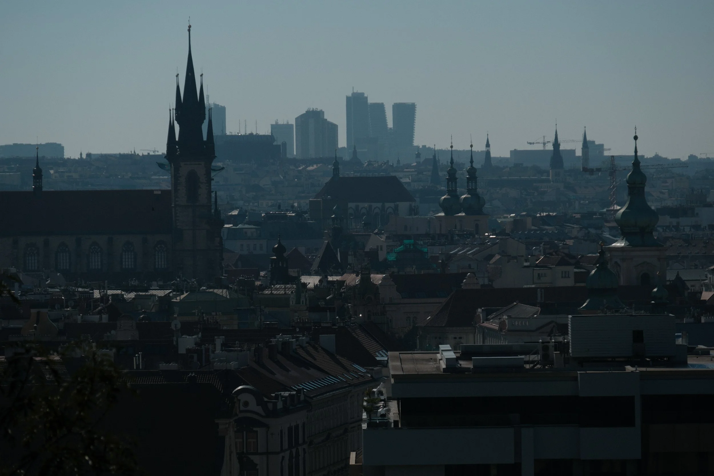 DSCF2220.jpg