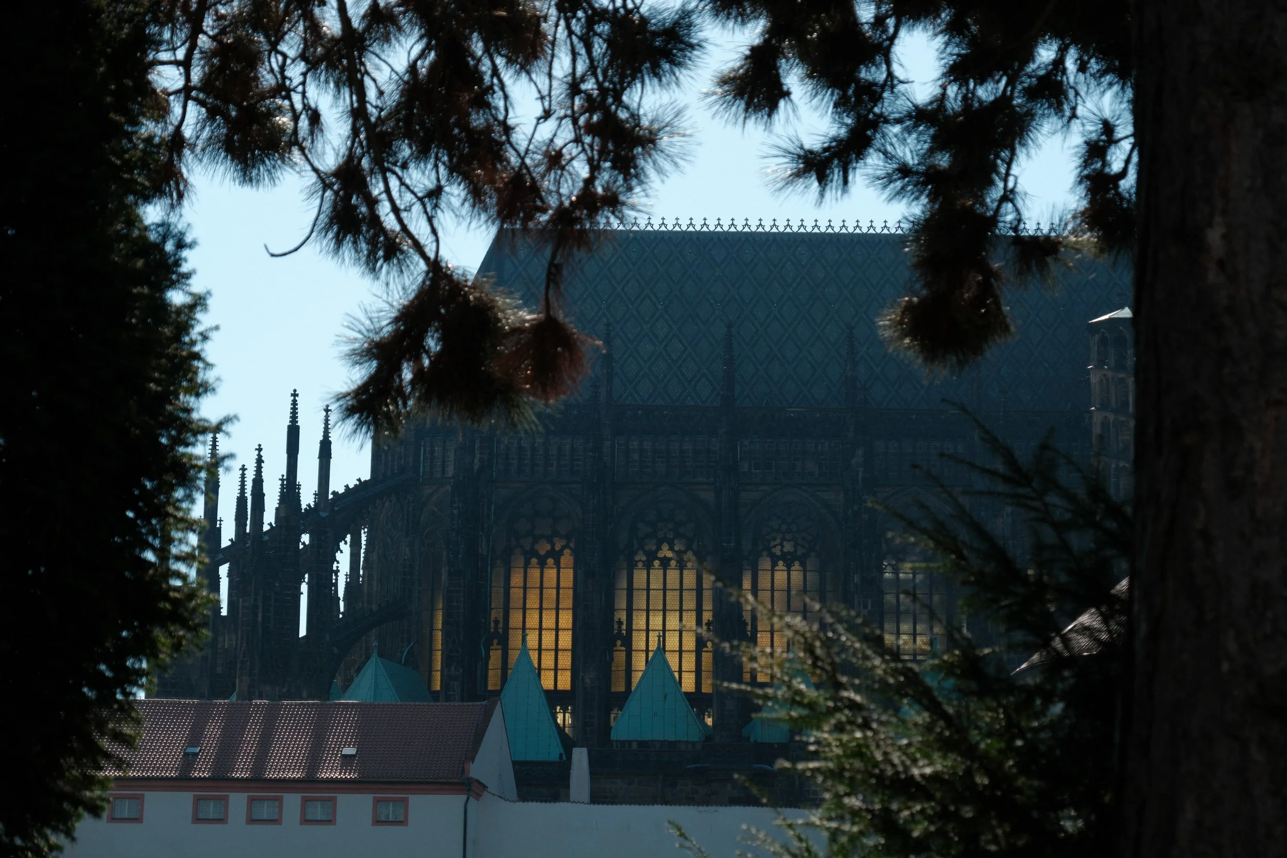Prague, against the light