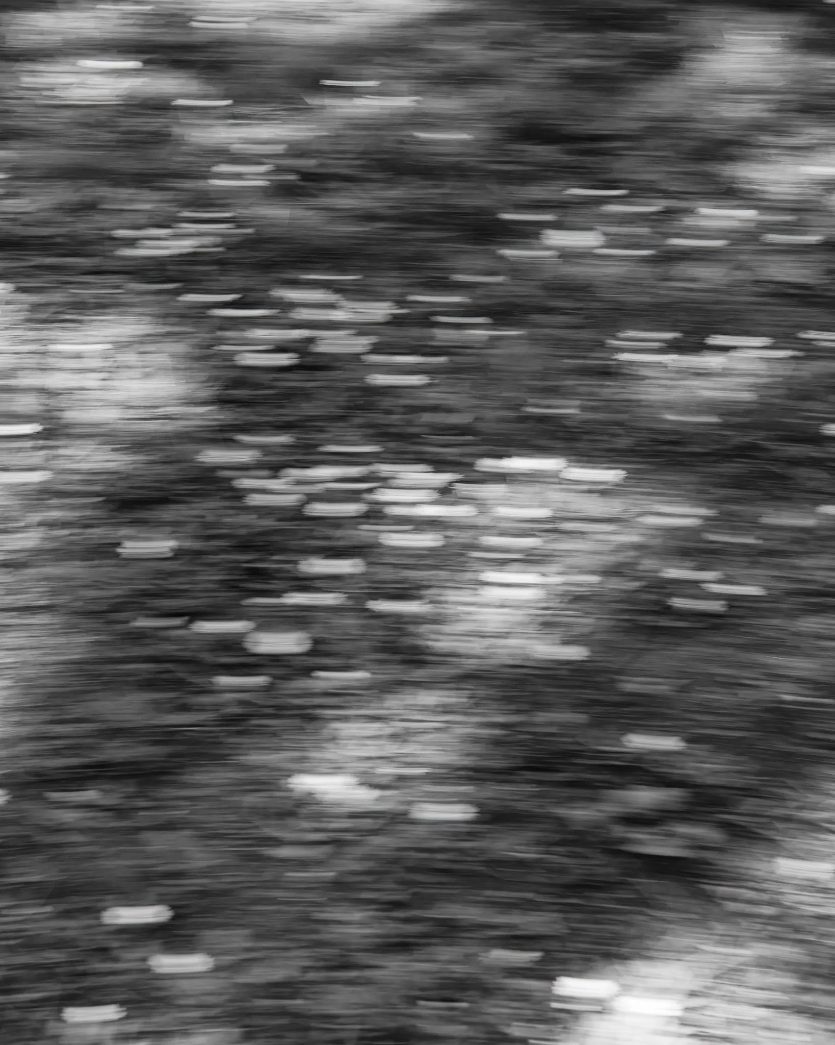 unrooted-7-tommy-metten-photography..jpg