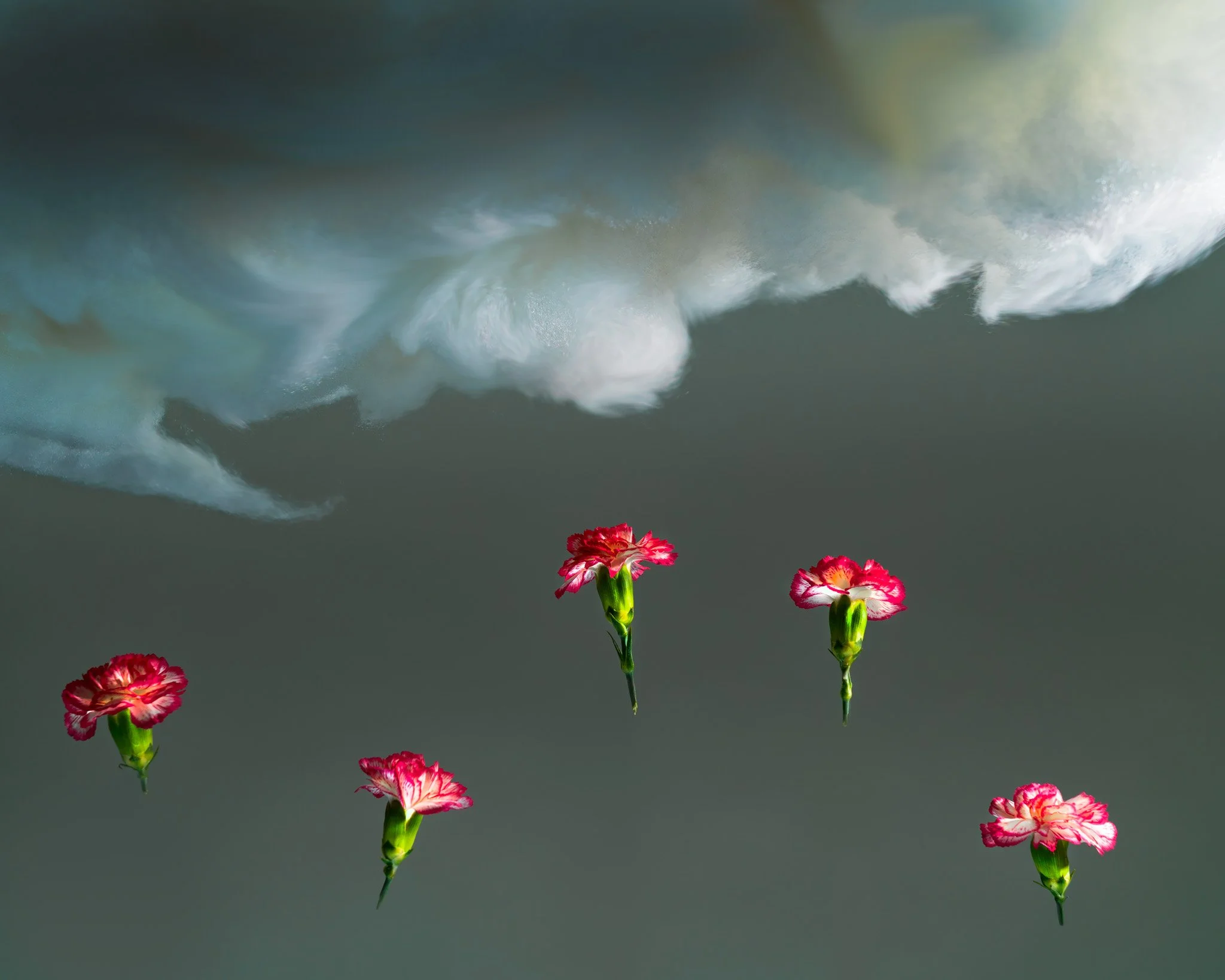 hope-tommy-metten-photography.jpg