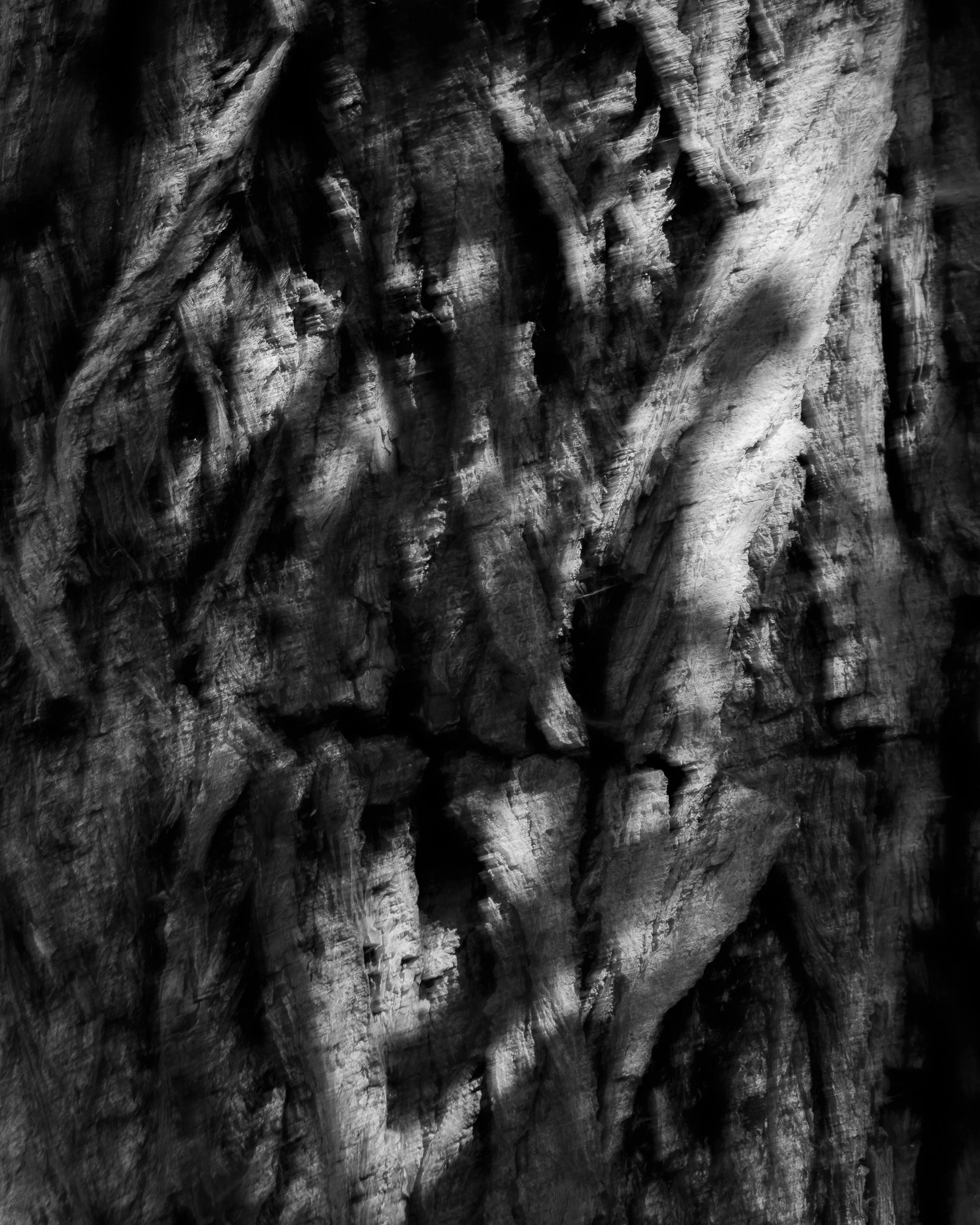 Unrooted-0006.jpg